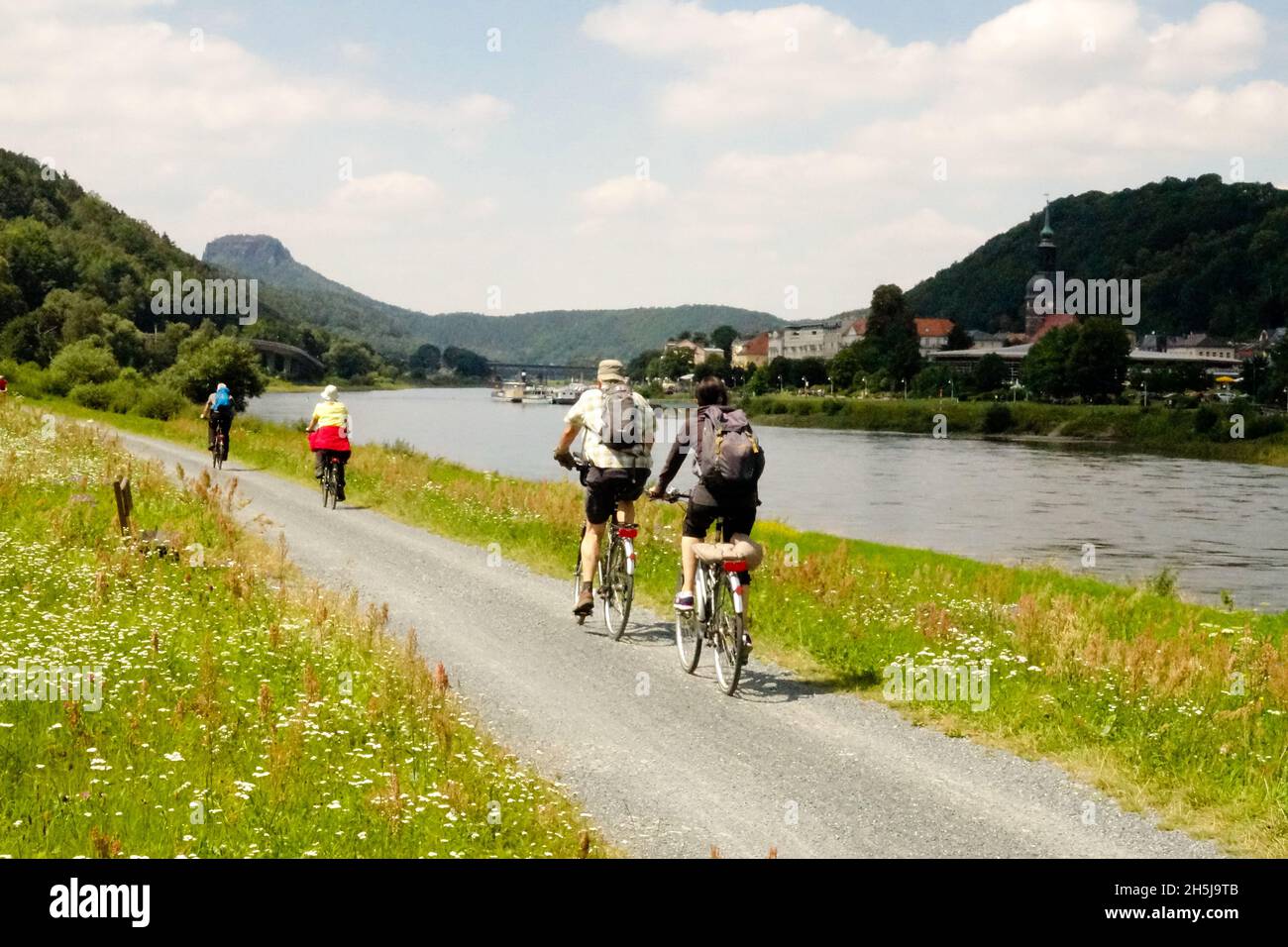 La Svizzera sassone gente della valle dell'Elba gente che va in bicicletta lungo il fiume Elba Germania pedalando sulla strada romantica Foto Stock