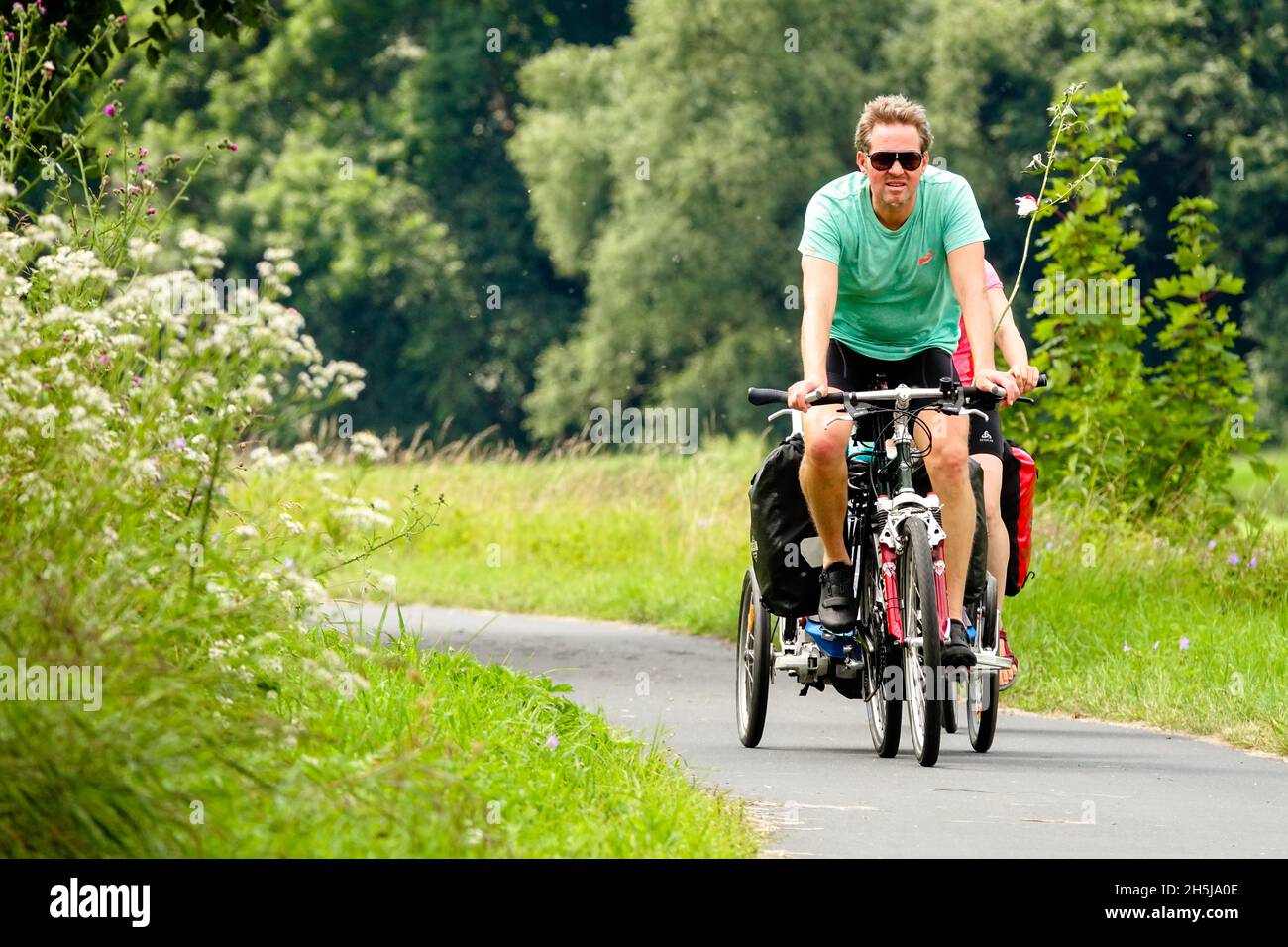 Un uomo in bicicletta su un sentiero che conduce attraverso prato Germania Sassonia percorso nella natura Foto Stock