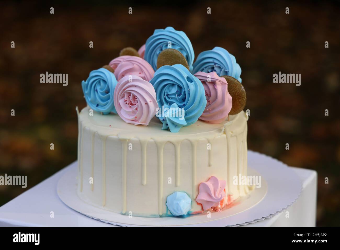 Una torta per le vacanze in colori rosa blu per una festa di rivelazione di genere. Foto Stock