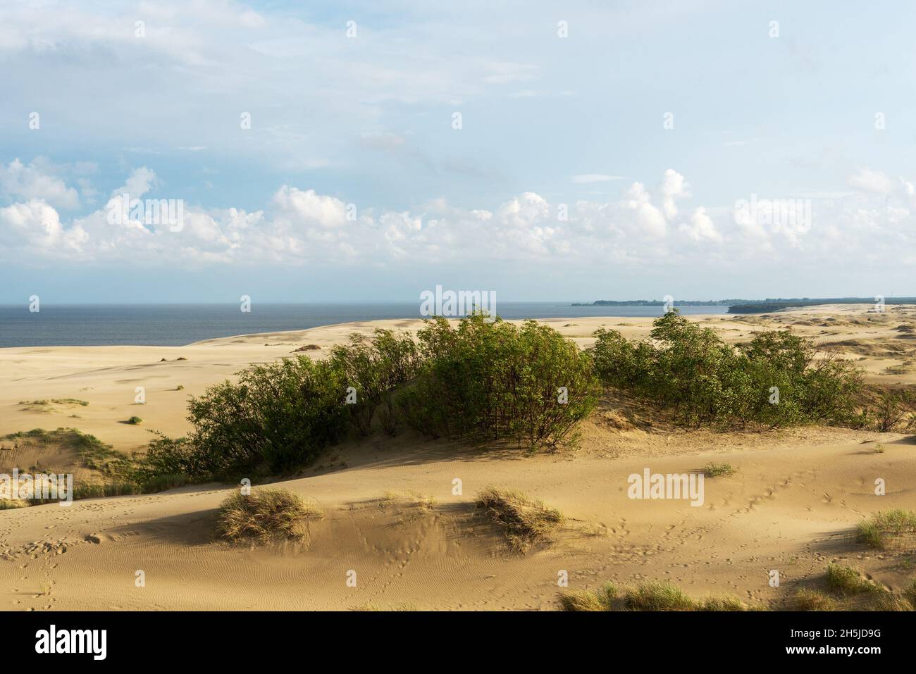 Splendida vista sulle dune sabbiose Grey Dunes al Curonian Spit. Il concetto di turismo e ricreazione. Foto Stock