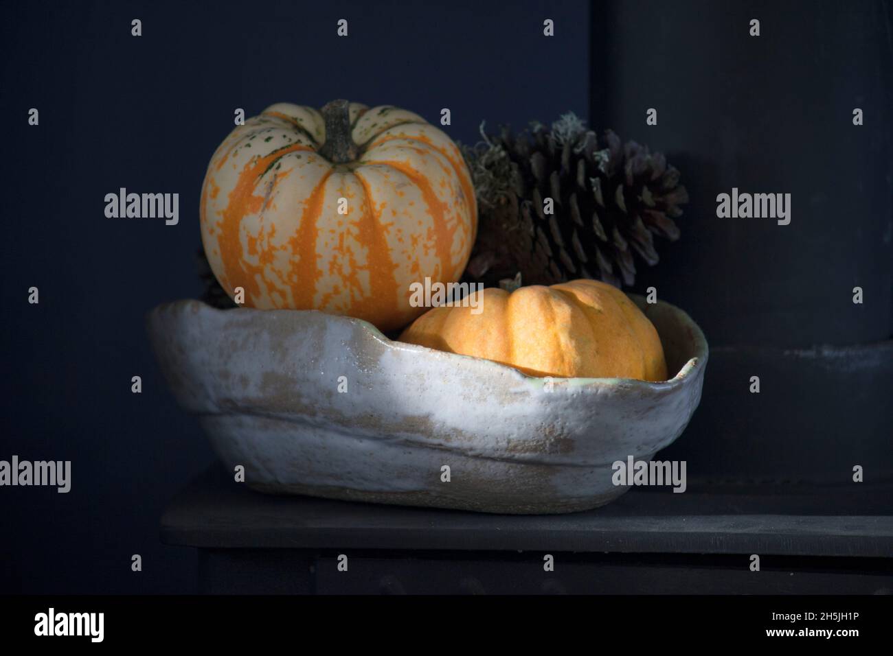 Zucche in ciotola fatta a mano che cattura il sole autunnale Foto Stock