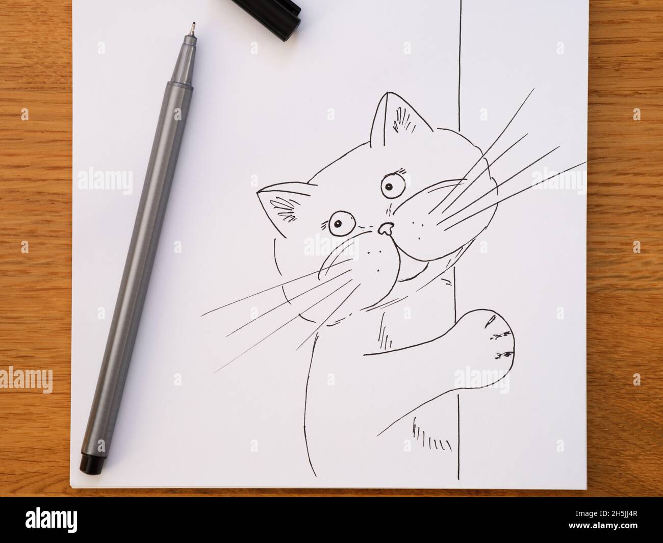 Penna nera su un disegno di un gatto che guarda dietro un angolo