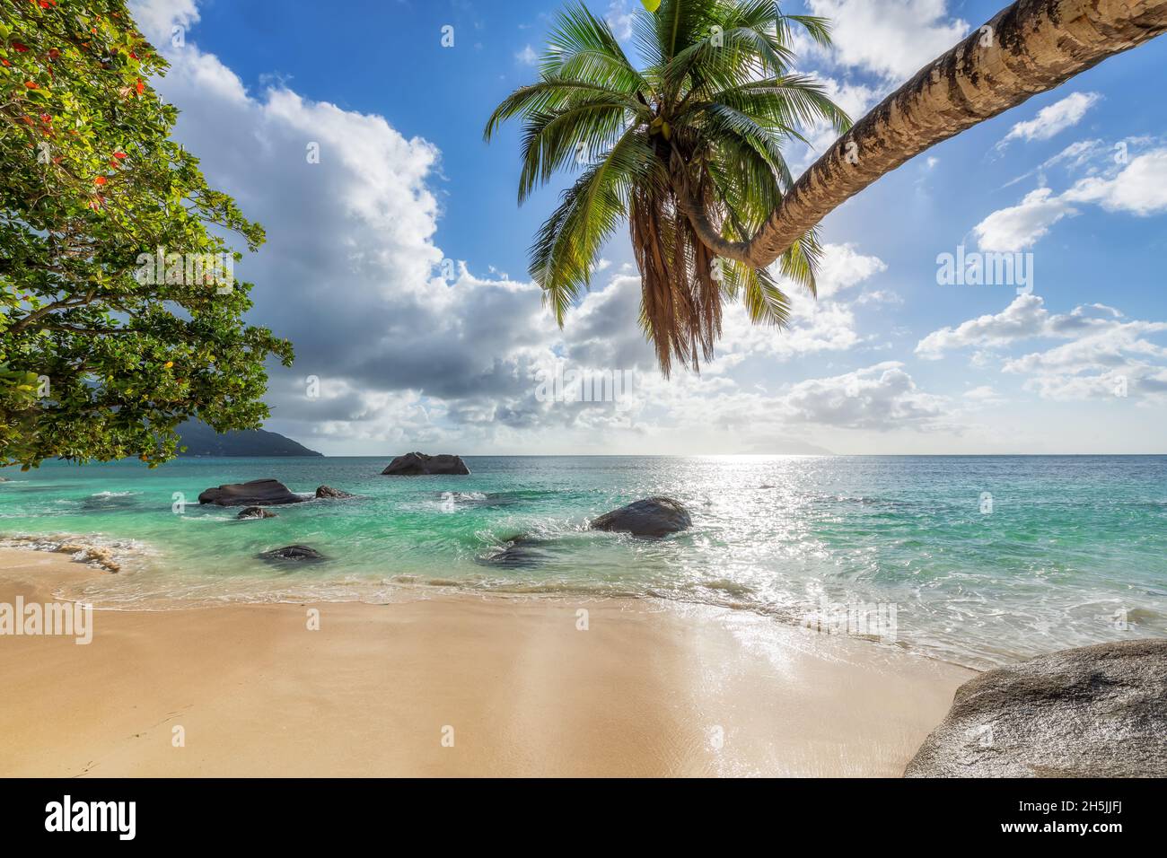 Spiaggia soleggiata con palme coco e mare tropicale al tramonto Foto Stock
