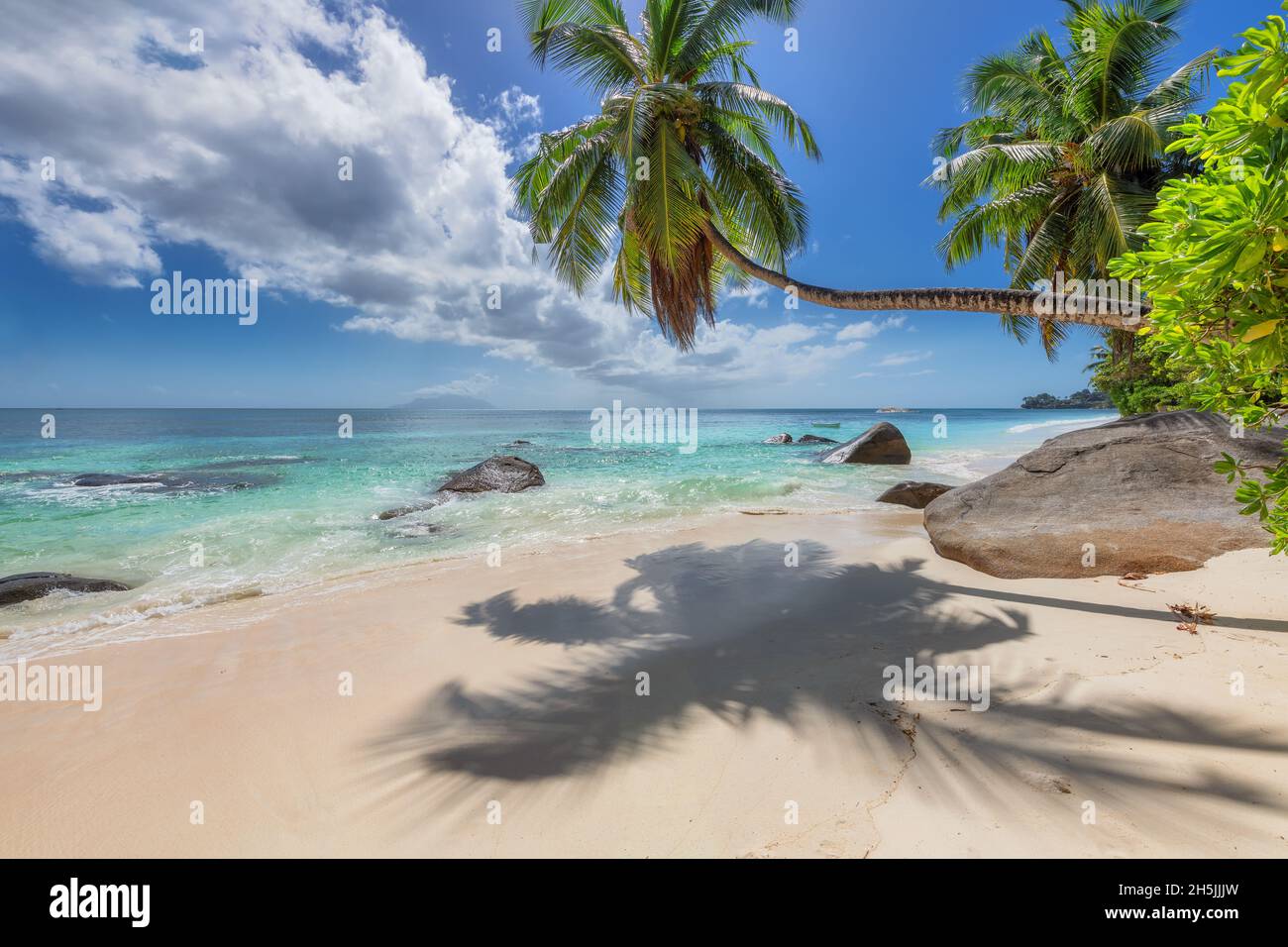 Spiaggia soleggiata e sabbiosa con palme da cocco e mare tropicale. Foto Stock