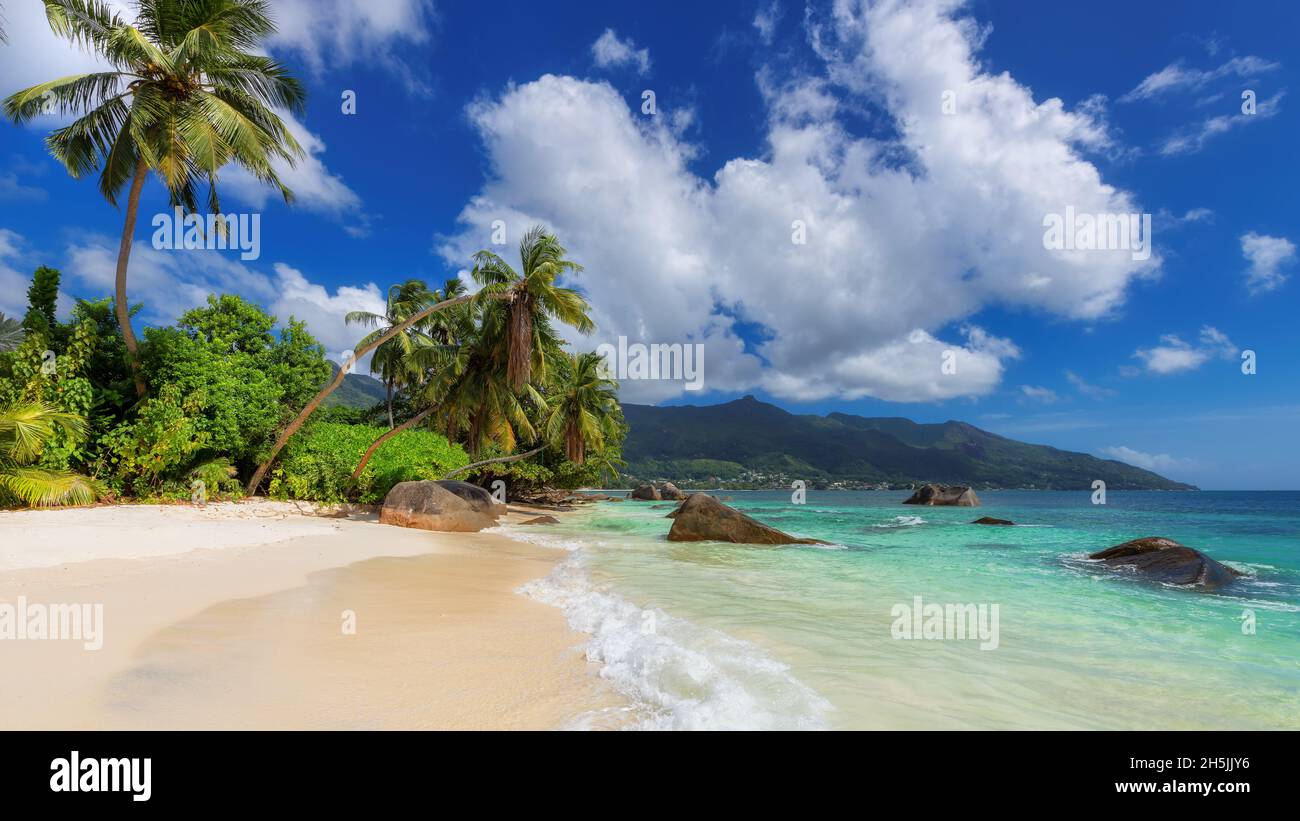 Spiaggia soleggiata e sabbiosa con palme da cocco e mare tropicale. Foto Stock