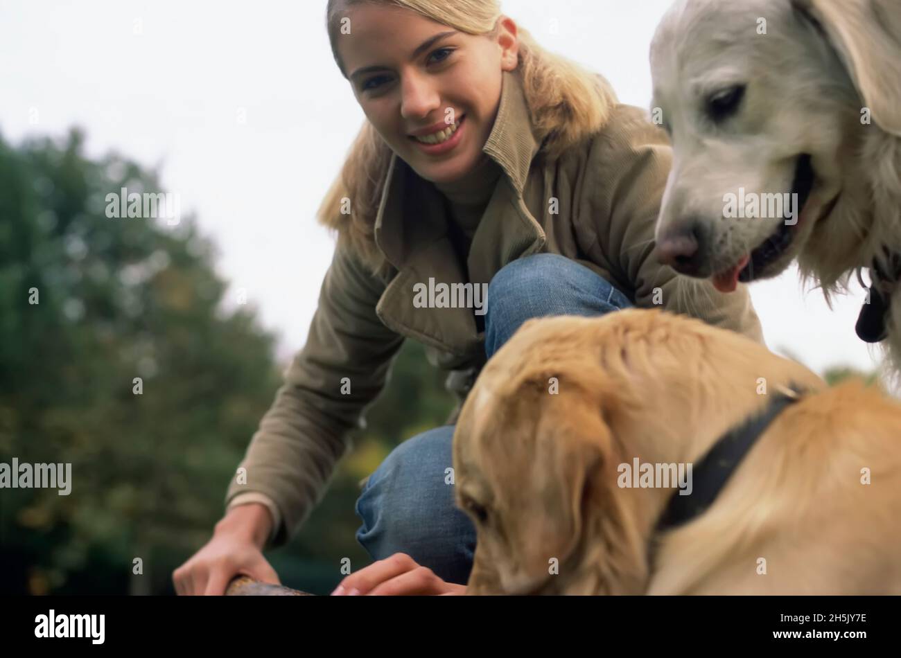 Giovane donna che si piega a guardare la macchina fotografica con due cani Golden Retriever nel parco; Germania Foto Stock