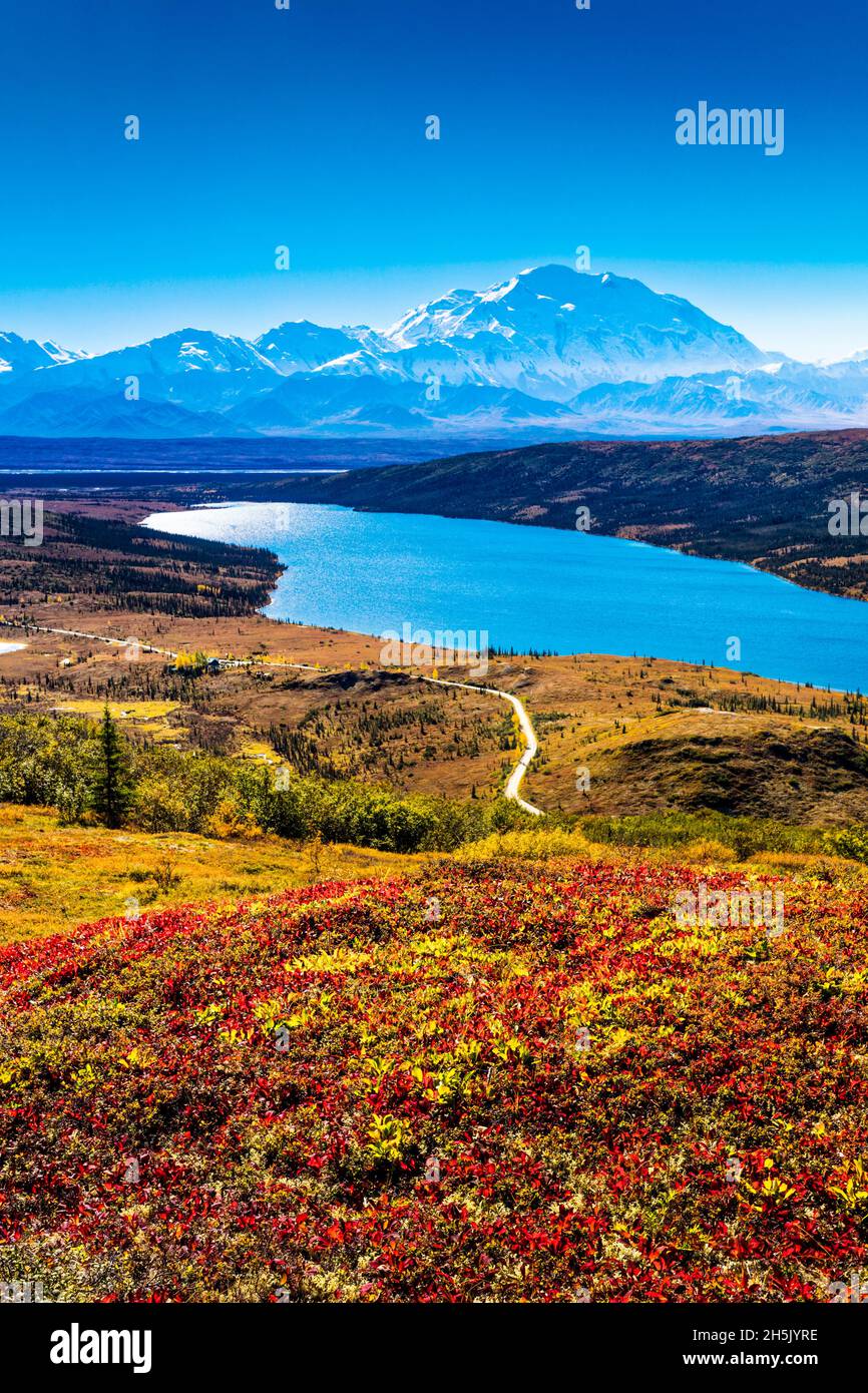 Monte Denali (McKinley) e Lago delle meraviglie con tundra colorata in autunno e un cielo blu, Parco Nazionale e Riserva di Denali, interno Alaska Foto Stock