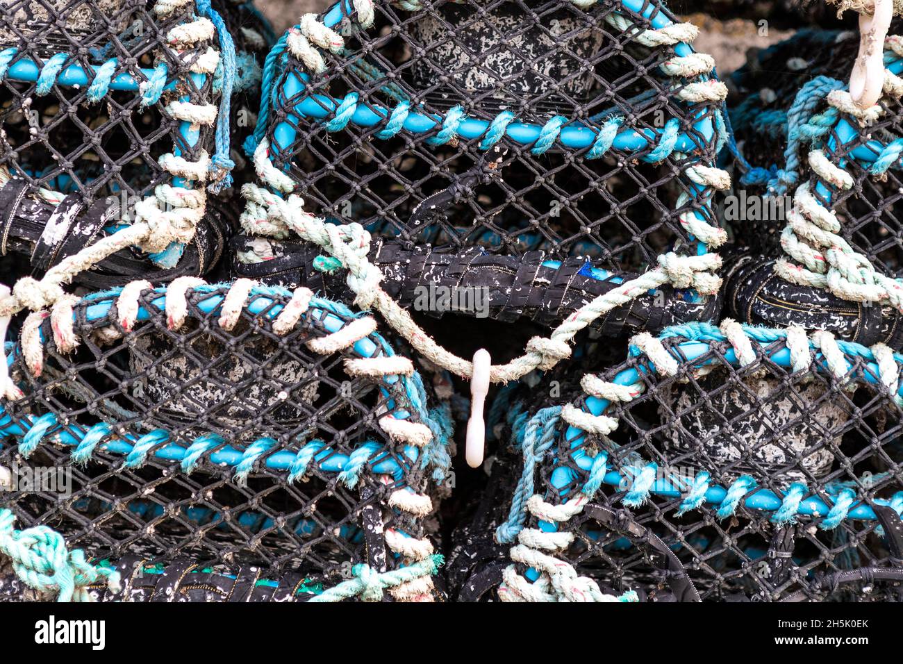 Vasi di aragosta e scatole di pesce accatastati fuori di una casa di pesce. Porto di Newlyn, Cornovaglia. REGNO UNITO Foto Stock