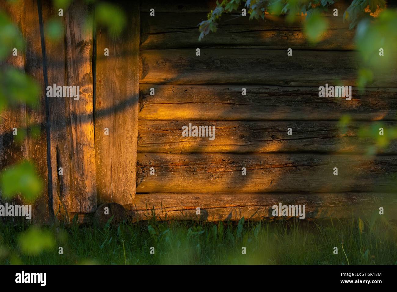Un vecchio fienile in legno durante un tramonto estivo nella campagna estone. Foto Stock