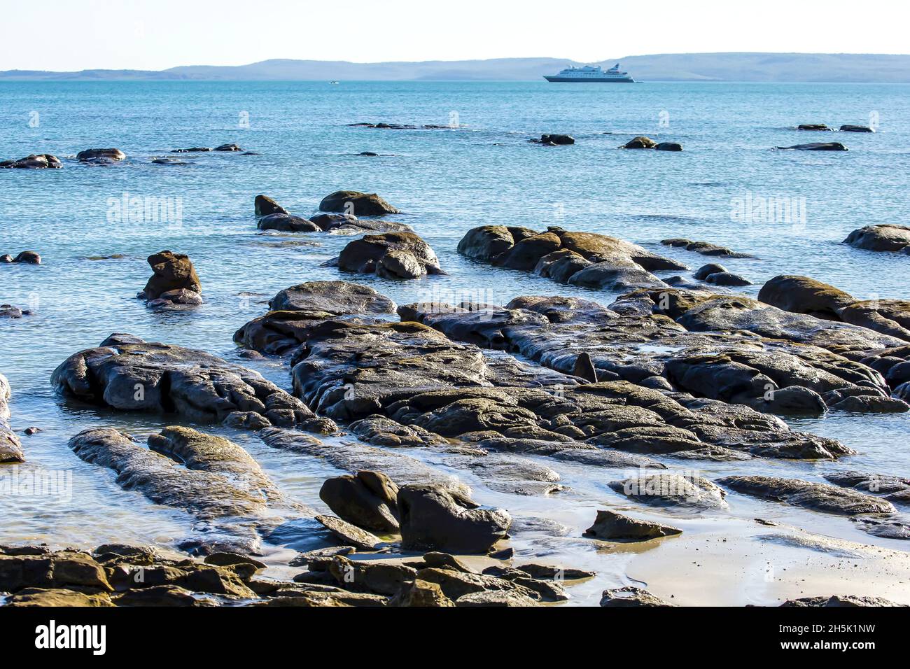 Roccia di Berach, roccia sedimentaria, Coquina, conchiglie, fossili, Jar Island, regione di Kimberley, Australia nord-occidentale Foto Stock