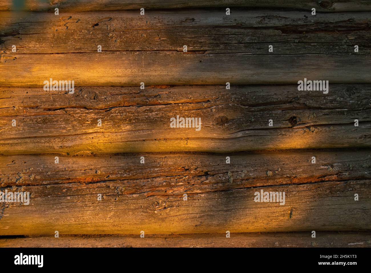 Un vecchio fienile in legno durante un tramonto estivo nella campagna estone. Foto Stock