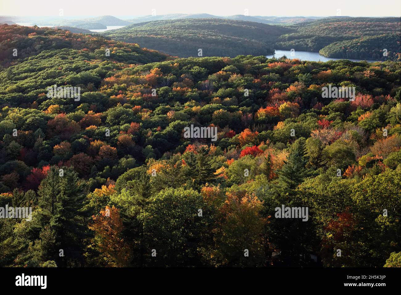 Dorset torre antincendio Park Muskoka, Ontario Canada Foto Stock