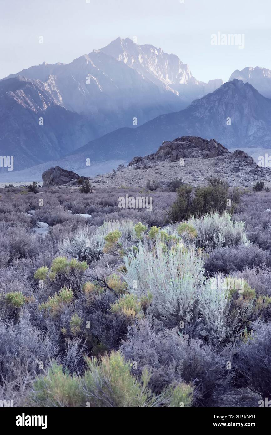 Sierra orientale della California, Stati Uniti d'America Foto Stock