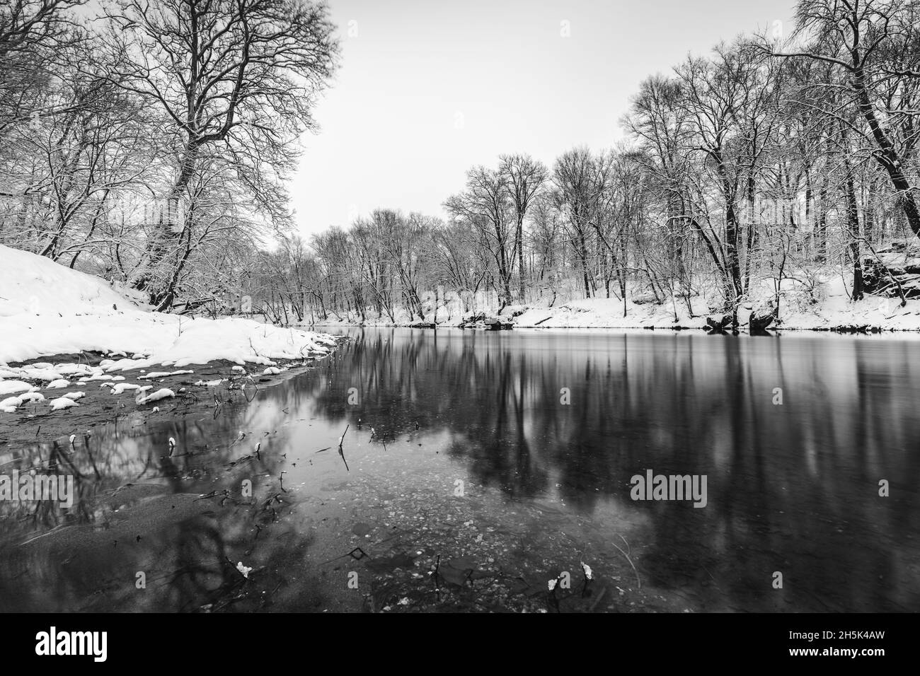 Immagine in scala di grigi del parco invernale. Gli alberi riflettono sulla superficie dell'acqua. Foto Stock