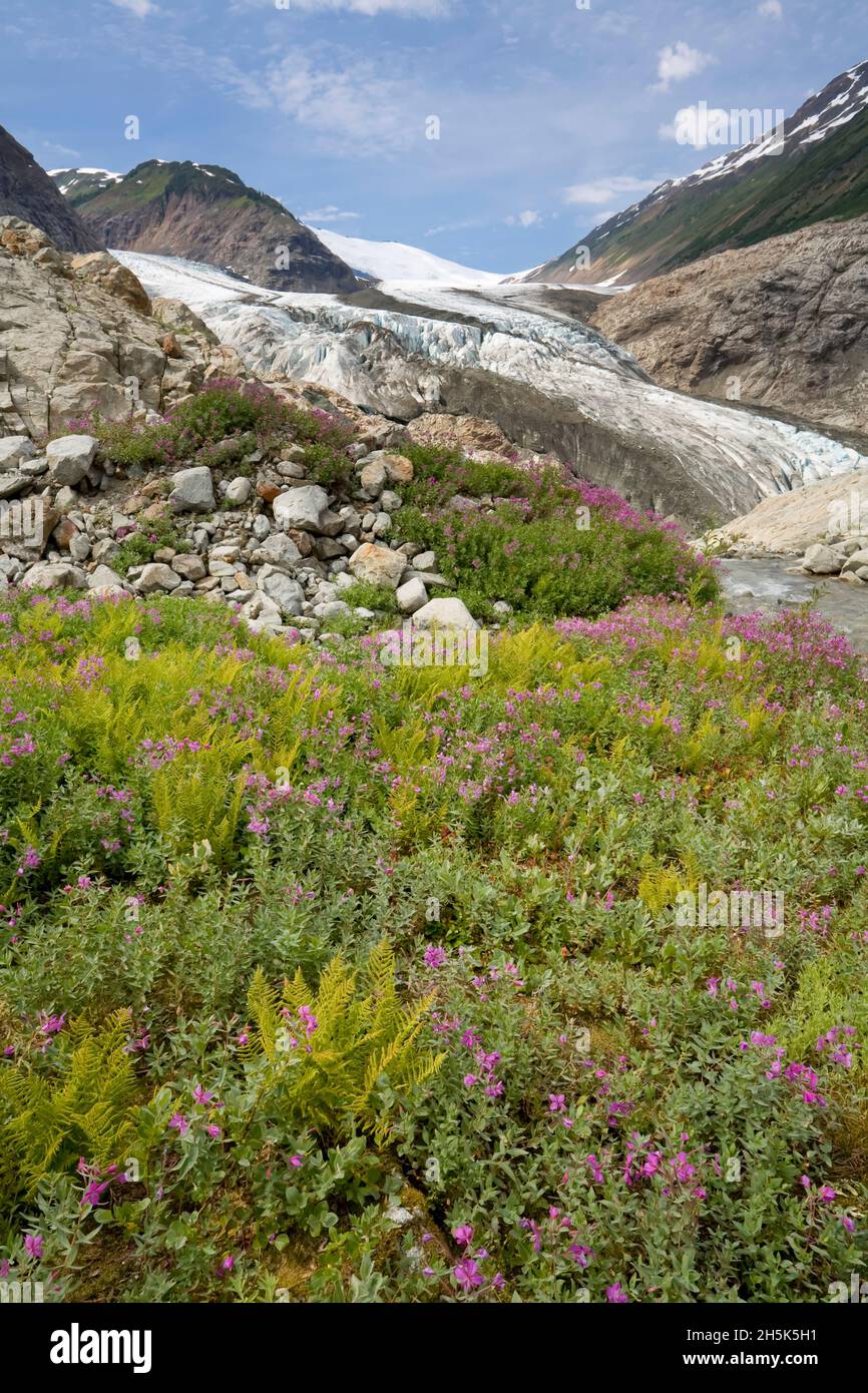 Berendon ghiacciaio, Coast Mountains, British Columbia, Canada Foto Stock