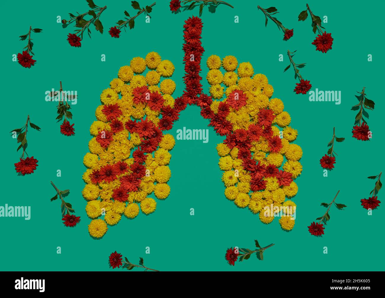 Forma dei polmoni umani, installazione dei fiori, concetto di salute dei polmoni. Parte delle immagini mediche del set degli organi umani interni Foto Stock