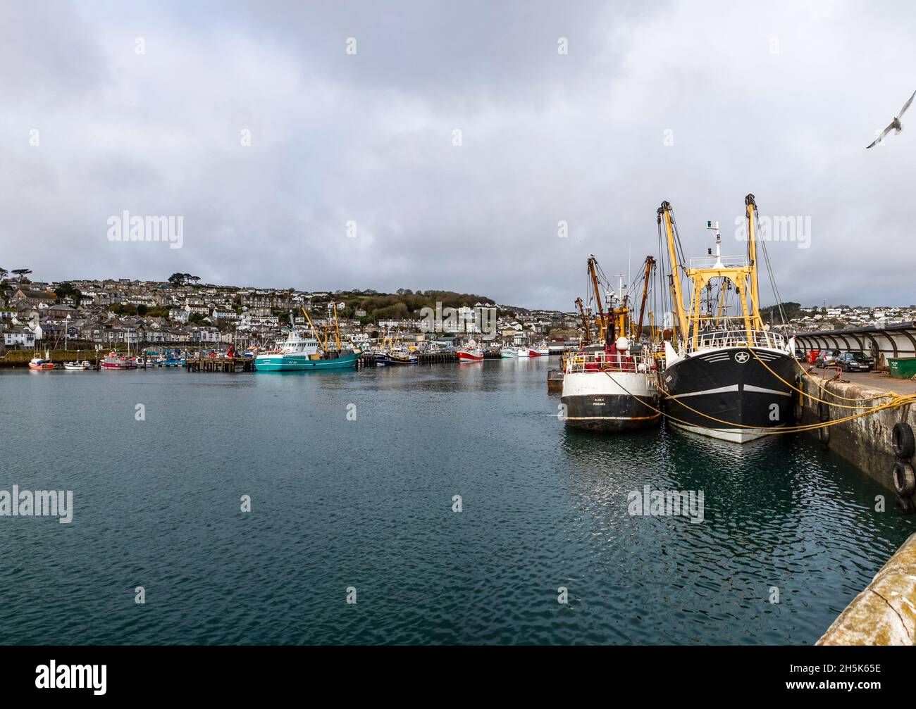Parte della flotta da pesca britannica a Newlyn Harbor, Cornovaglia. Newlyn ha un mercato in cui le catture sbarcate sono oggetto di scambi in tutta l'UE. Foto Stock