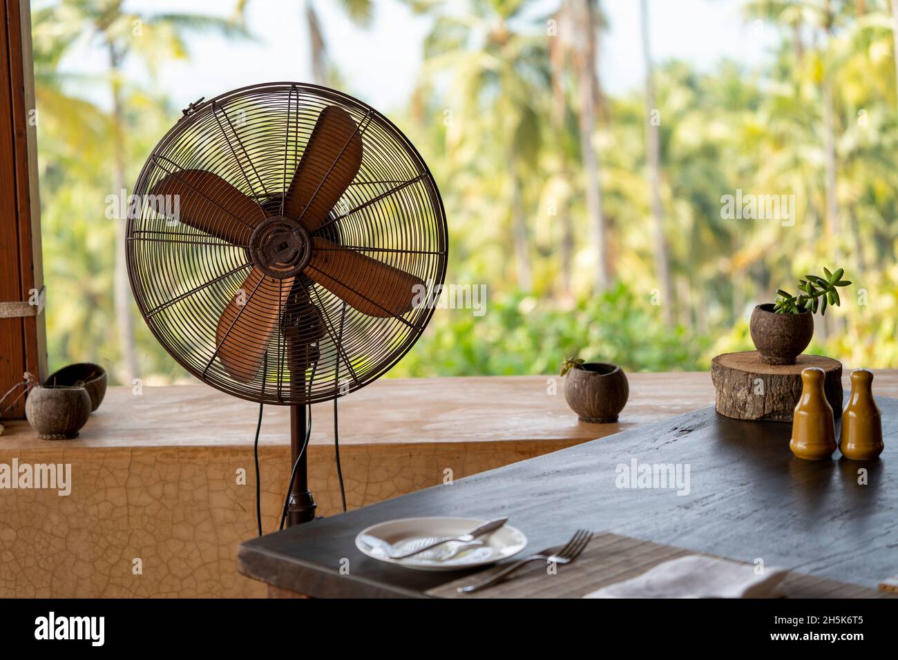 Fan nel ristorante di Cabo Serai a Goa Sud; Cabo, Goa, India Foto Stock