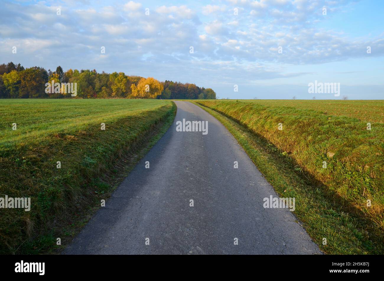 Strada asfaltata tra due campi in autunno; Vielbrunn, Michelstadt, Odenwald, Hesse, Germania Foto Stock