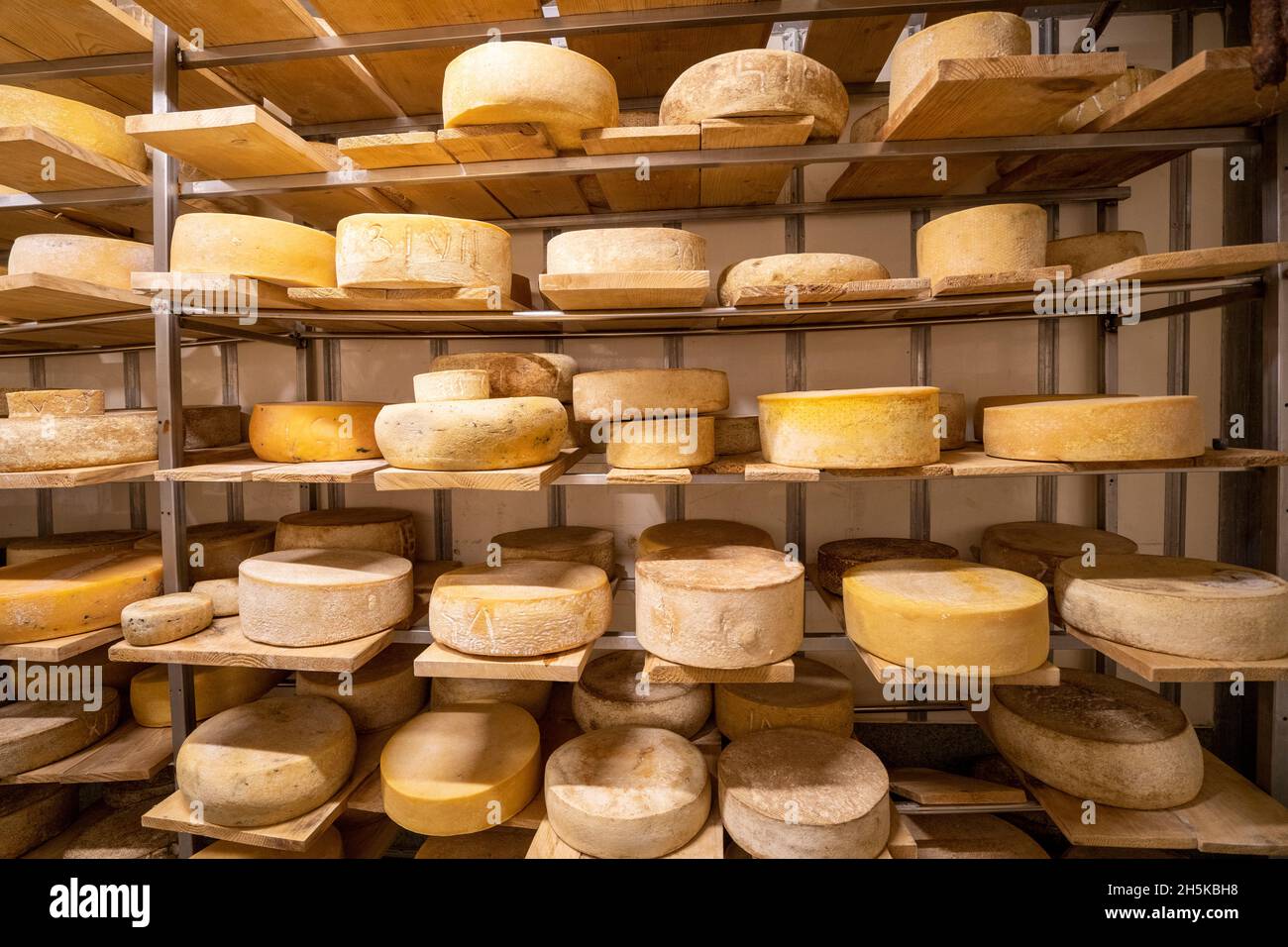 Ruote di formaggio fresco in un deposito di latte nella contea di Covasna, Romania; Covasana, Transilvania, Romania Foto Stock