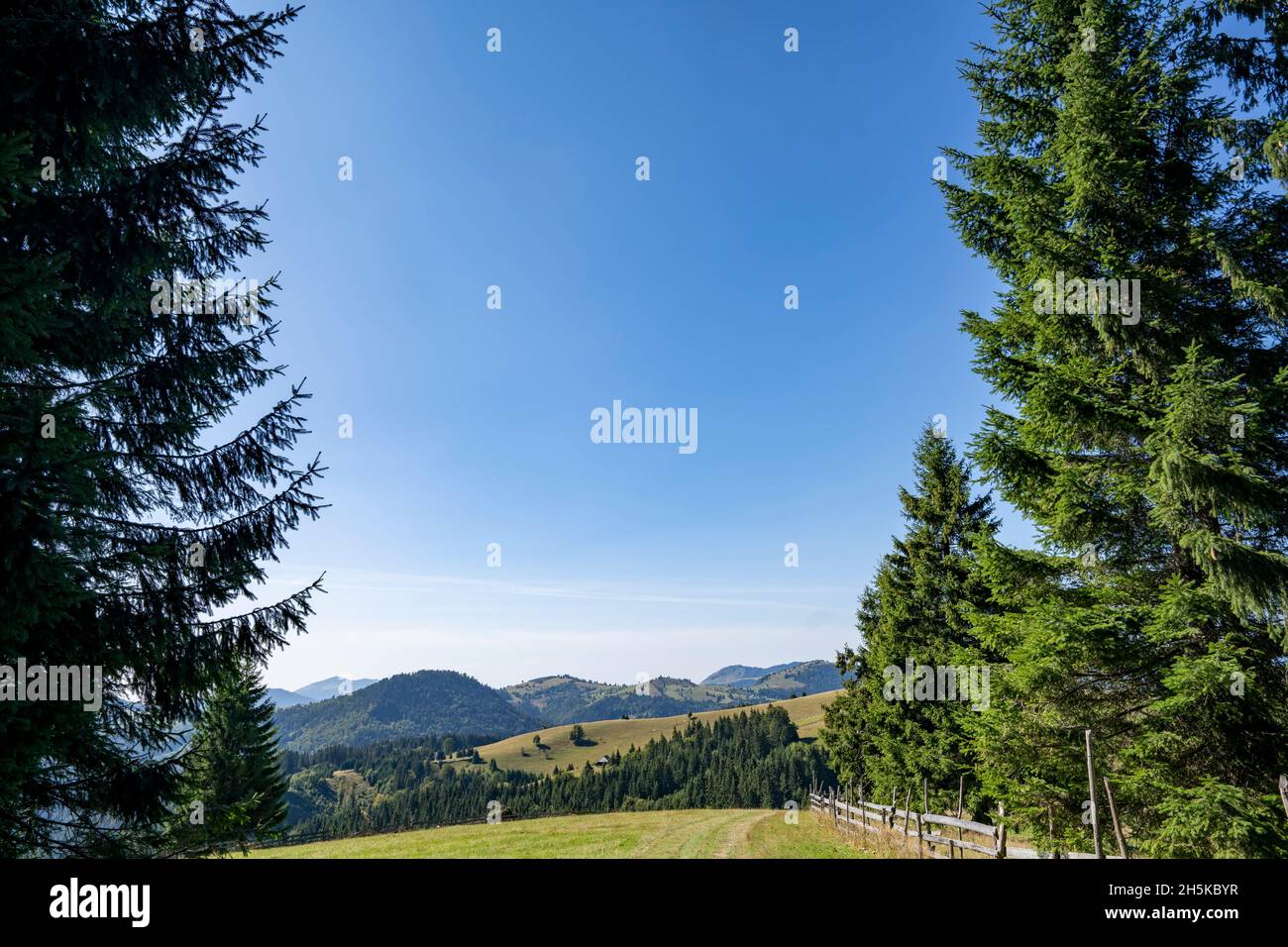 Viste lungo il sentiero Via Transilvanica attraverso la Transilvania, nella Contea di Bistrita, Romania; Bistro, Transilvania, Romania Foto Stock