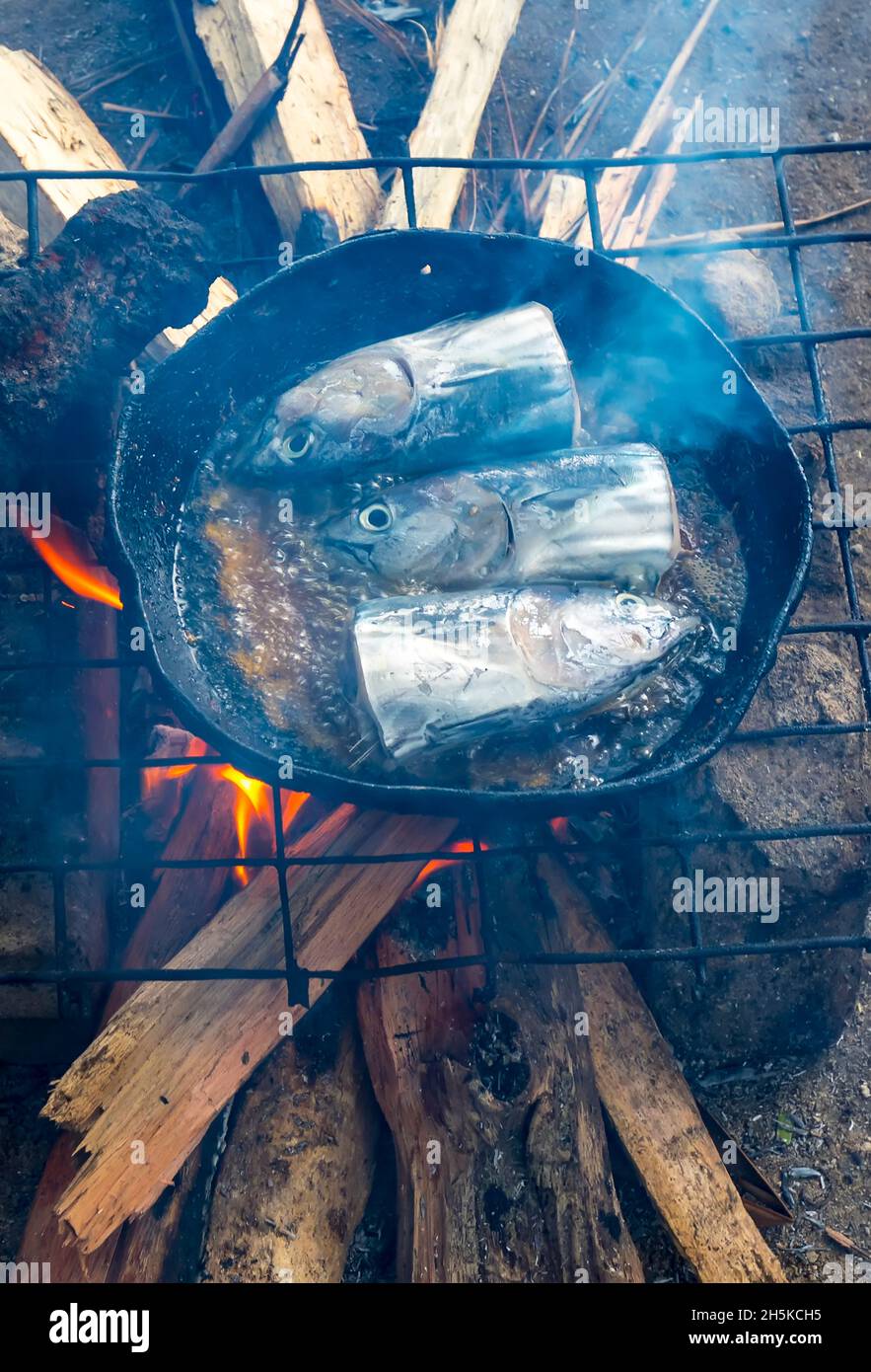 Teste di pesce che cucinano in una bancarella di cibo di strada nel mercato alimentare di Madang, Papua Nuova Guinea; Madang, Provincia di Madang, Papua Nuova Guinea Foto Stock