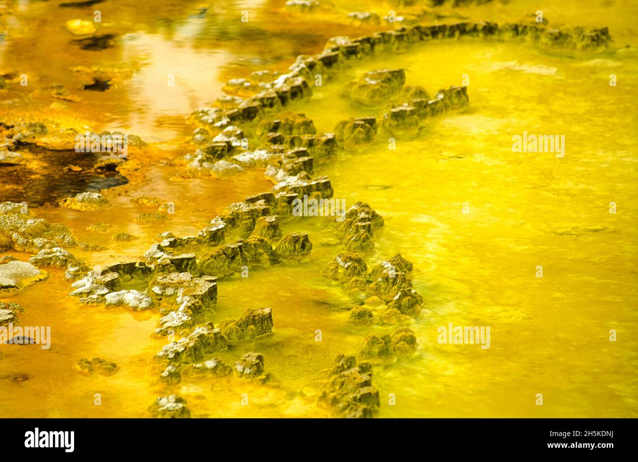 Vista astratta di una piscina termale vicino alla piscina Doublet nel bacino del geyser superiore. Foto Stock