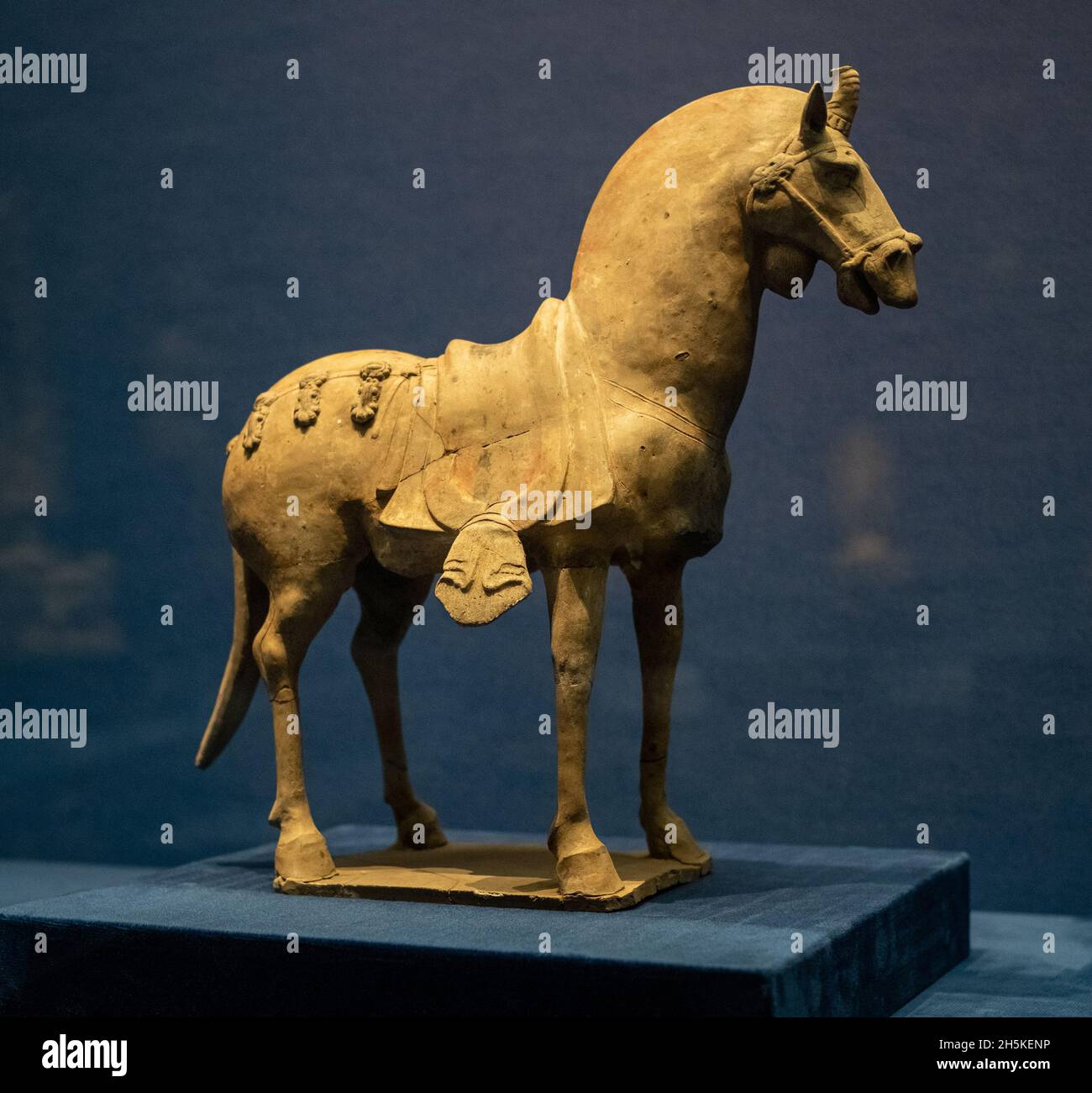 Cavallo di terracotta dipinto. Dinastia Qi settentrionale, 550-577 CE. Nella collezione del Museo Shanxi. Foto Stock