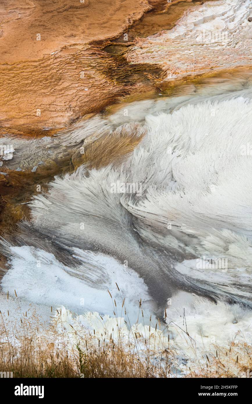 Depositi minerali e formazioni rocciose di travertino lungo i canali di deflusso termale della sorgente erbosa alle sorgenti termali di Mammoth a Yellowstone Natur... Foto Stock