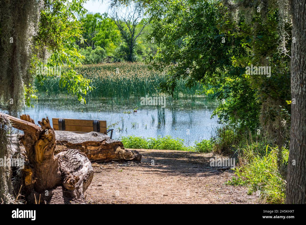 Un piccolo lago cristallino nella foresta di National Wildlife Refugee Foto Stock