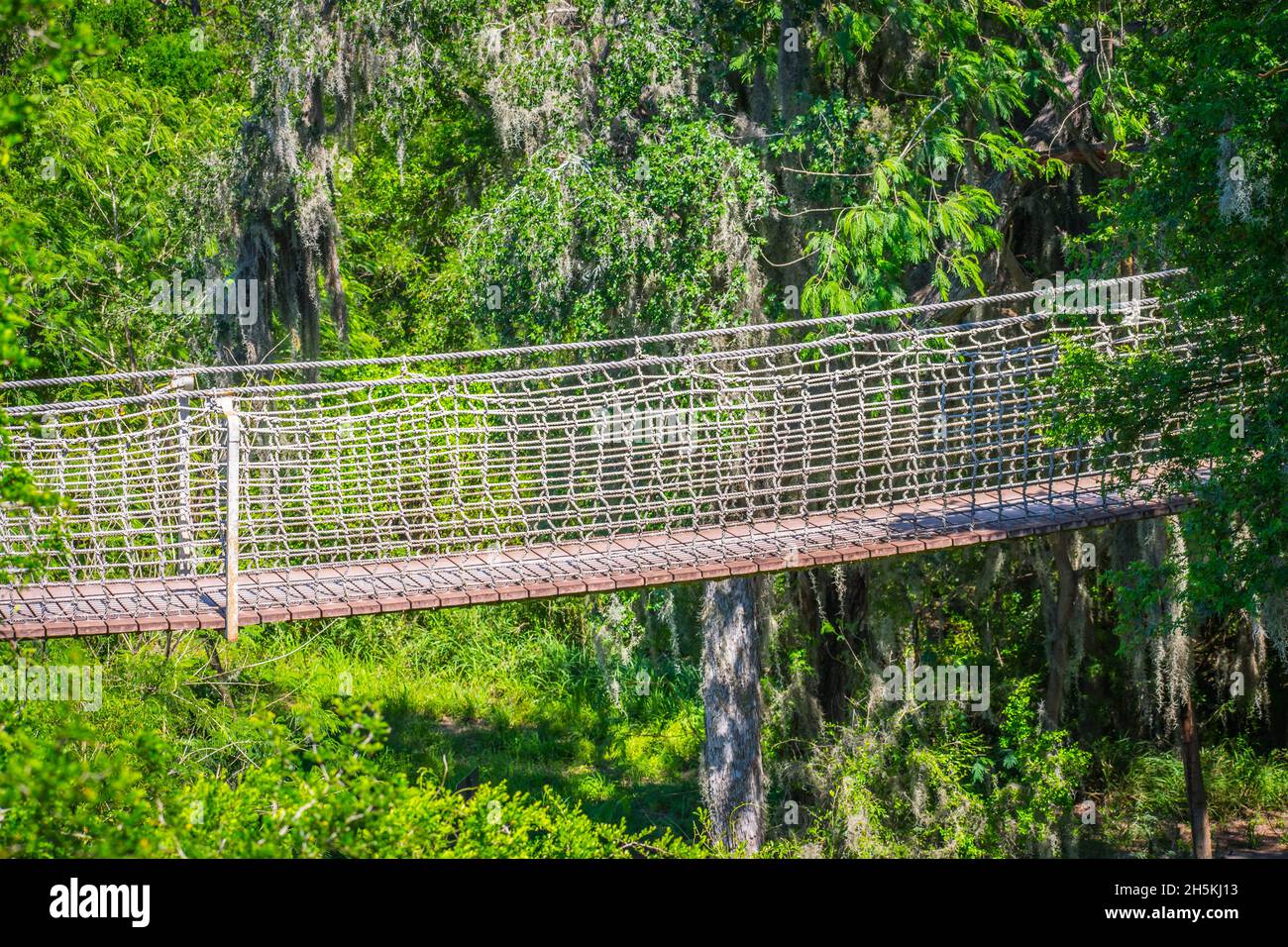 Una struttura in legno tree top passeggiata pedonale lungo la foresta del National Wildlife Refugee Foto Stock