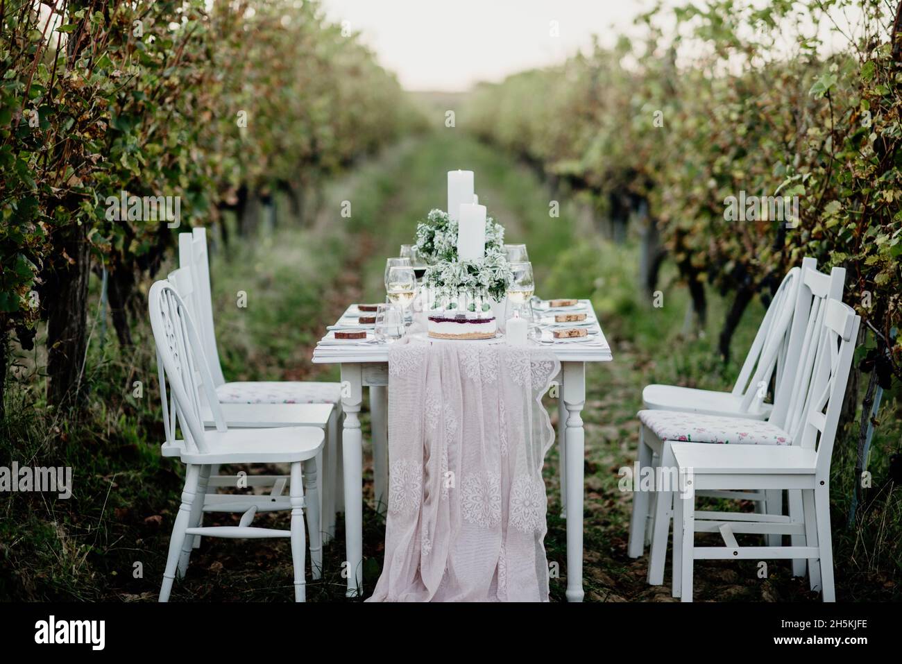 Sedie e tavolo decorato in un vigneto. Foto Stock