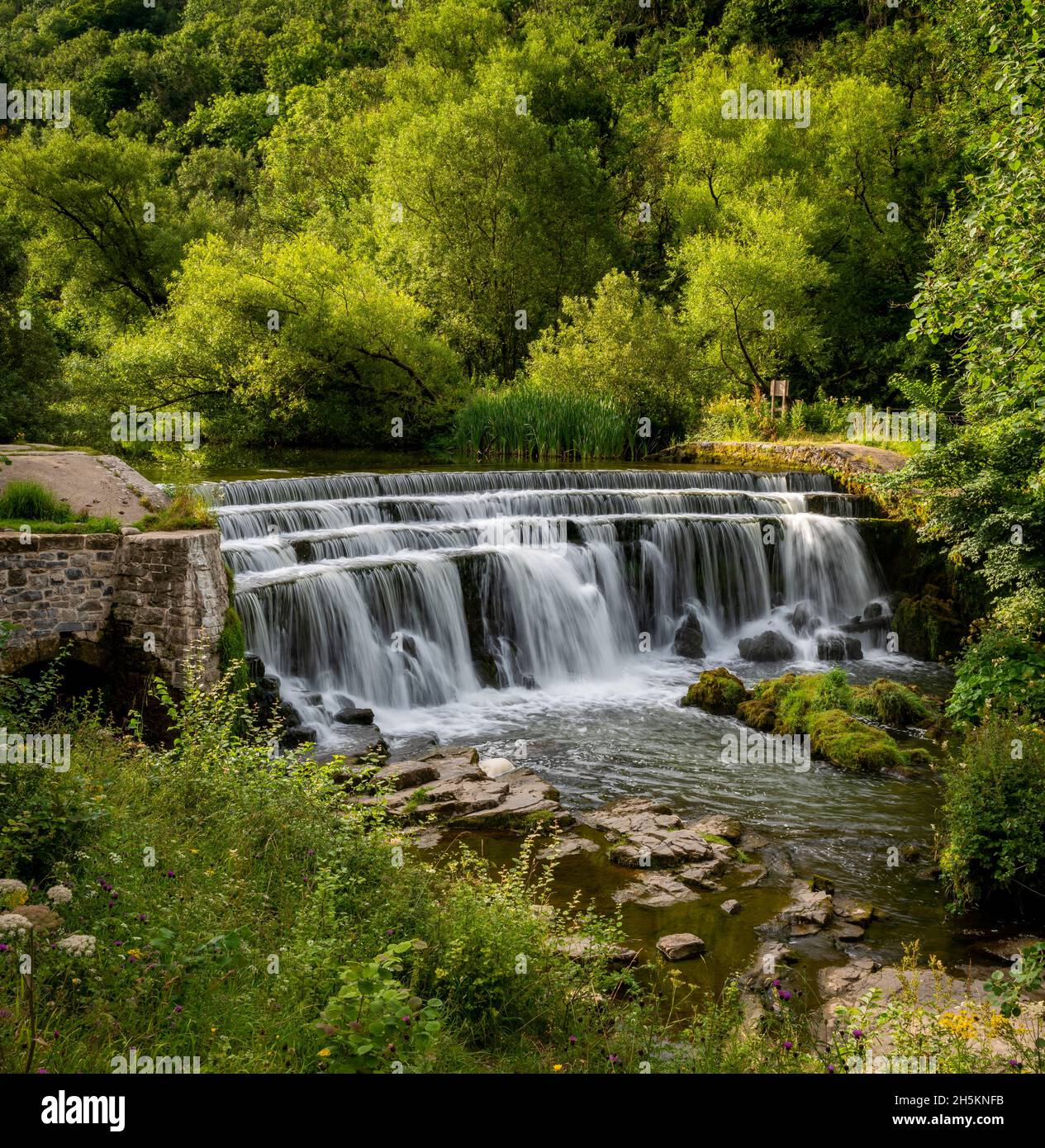 Monsal Weir, Monsal Dale, Derbyshire, Inghilterra, Regno Unito Foto Stock