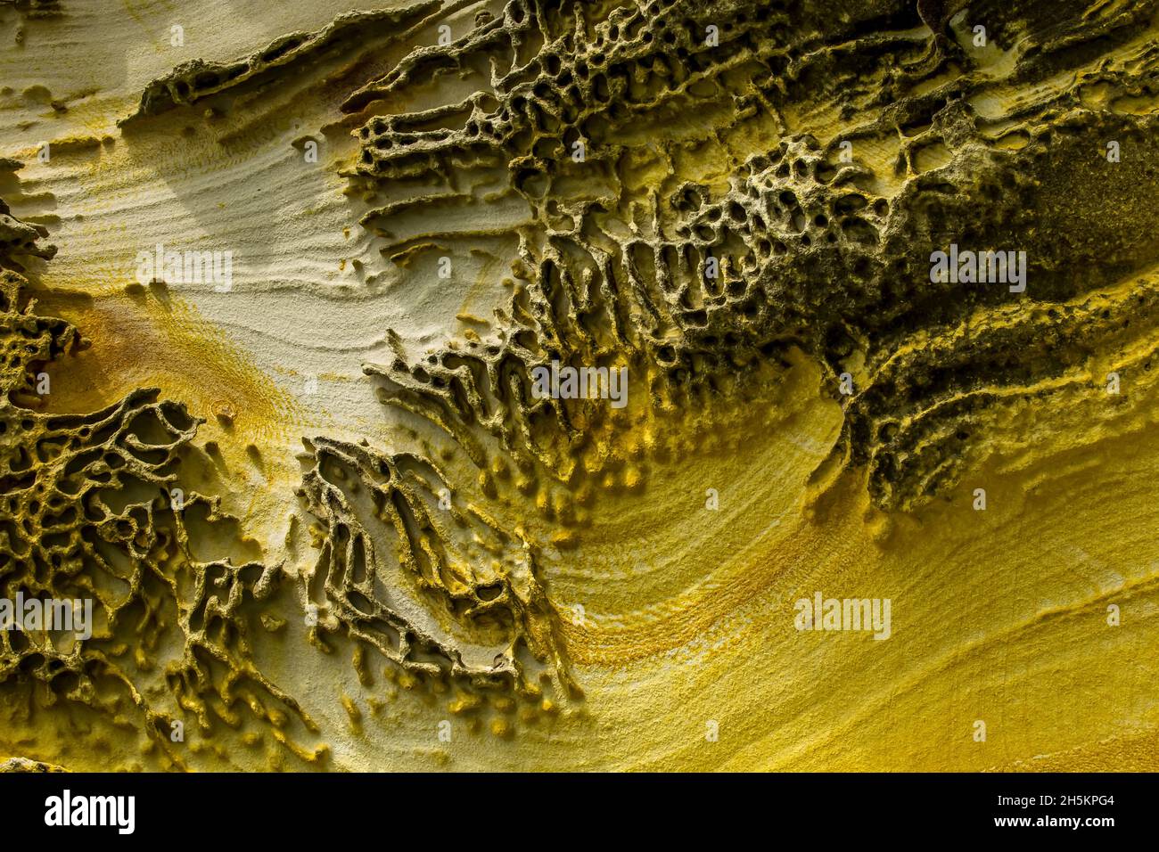 Chiudere fino a nido d'ape agli agenti atmosferici e agli anelli di Liesegang. Foto Stock