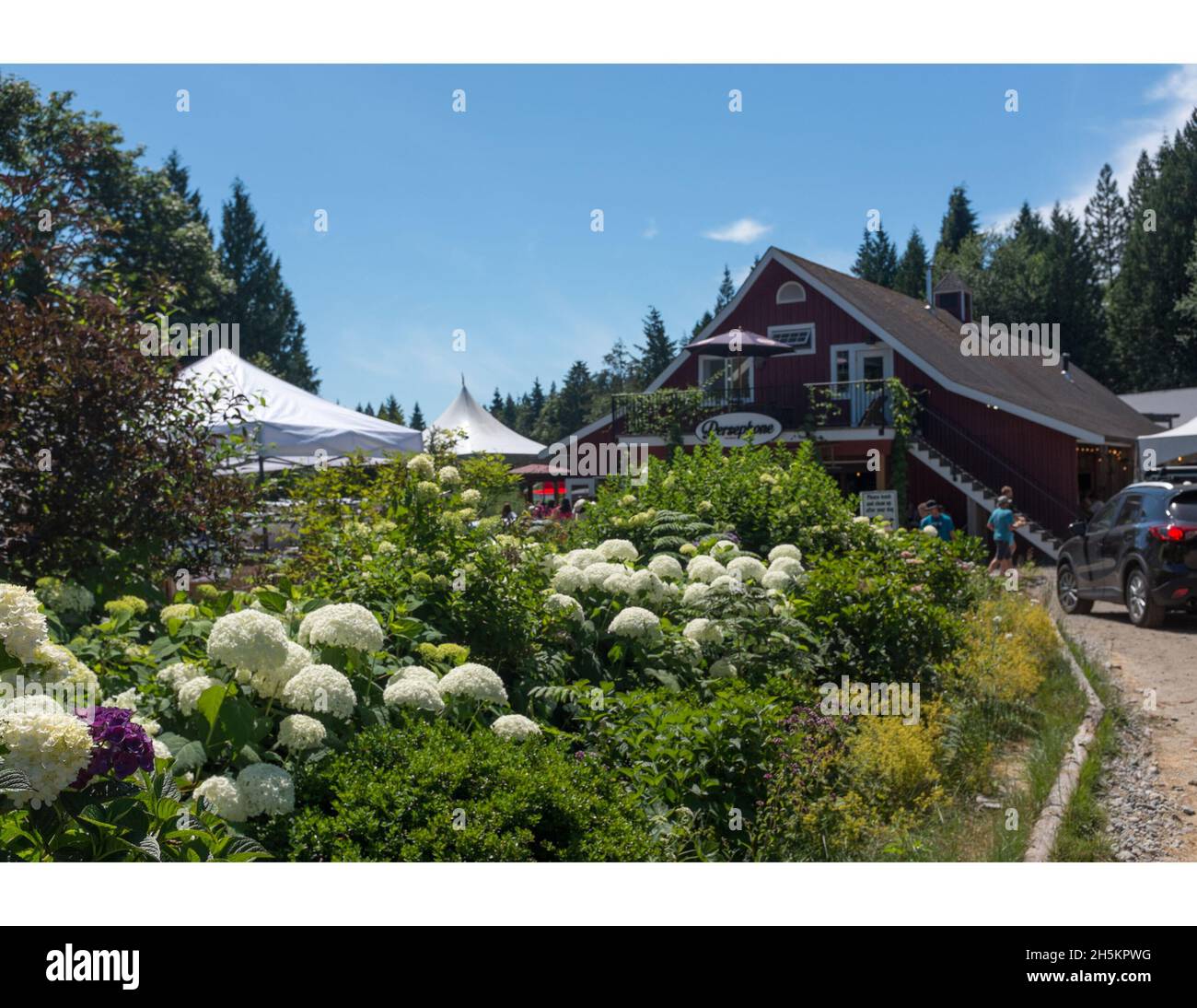 I giardini prolifici della Persephone Brewery tra Langdale e Gibson's Landing, BC, Canada. Foto Stock