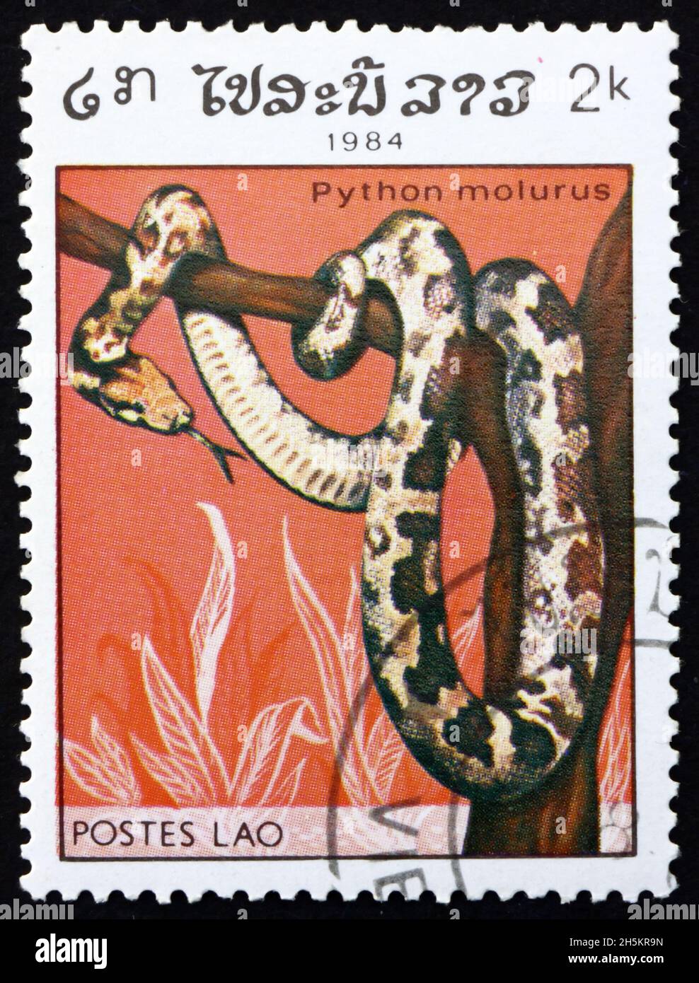 LAOS - CIRCA 1984: Un francobollo stampato in Laos mostra pitone indiano, python molurus, è un grande serpente nonvenomous nativo di regio tropicale e subtropicale Foto Stock