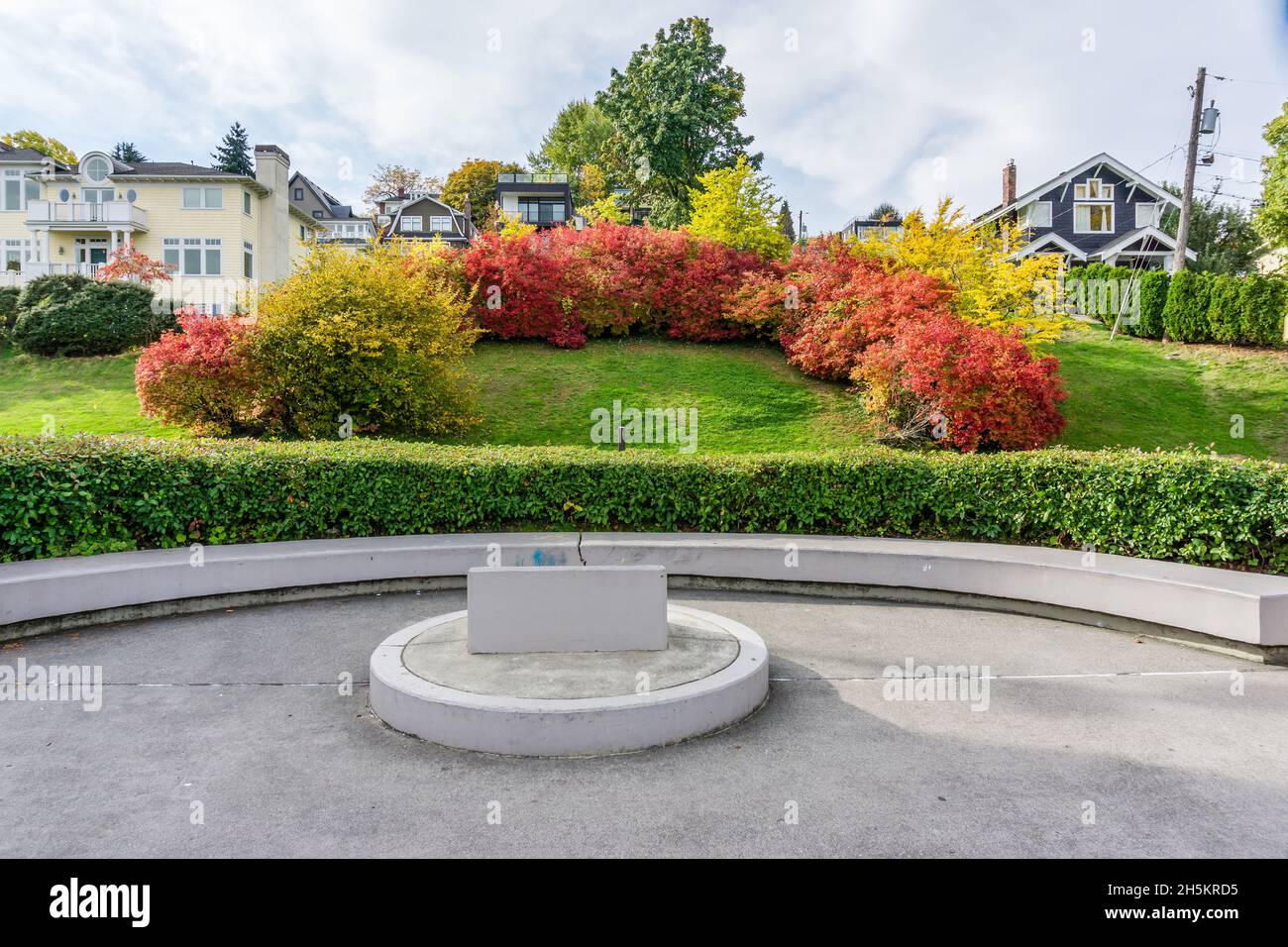 Un cerchio di cespugli autunnali a Seattle, Washington. Foto Stock