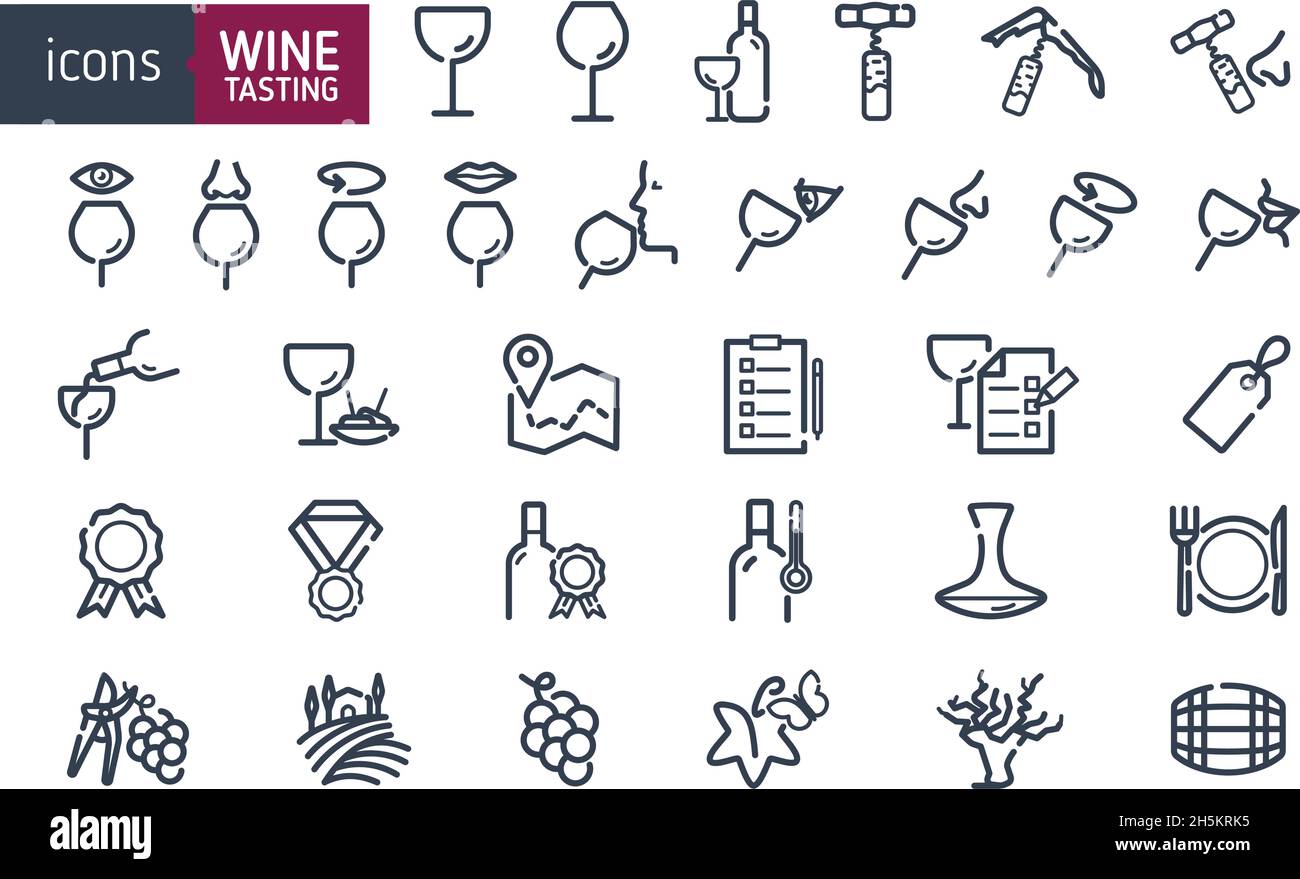 Set di icone vino. Icone per degustazioni di vini professionali, degustazioni, aspetto, odore, agitazione. Icone dell'industria del vino. Vini e bottiglie. Illust vettoriale Illustrazione Vettoriale