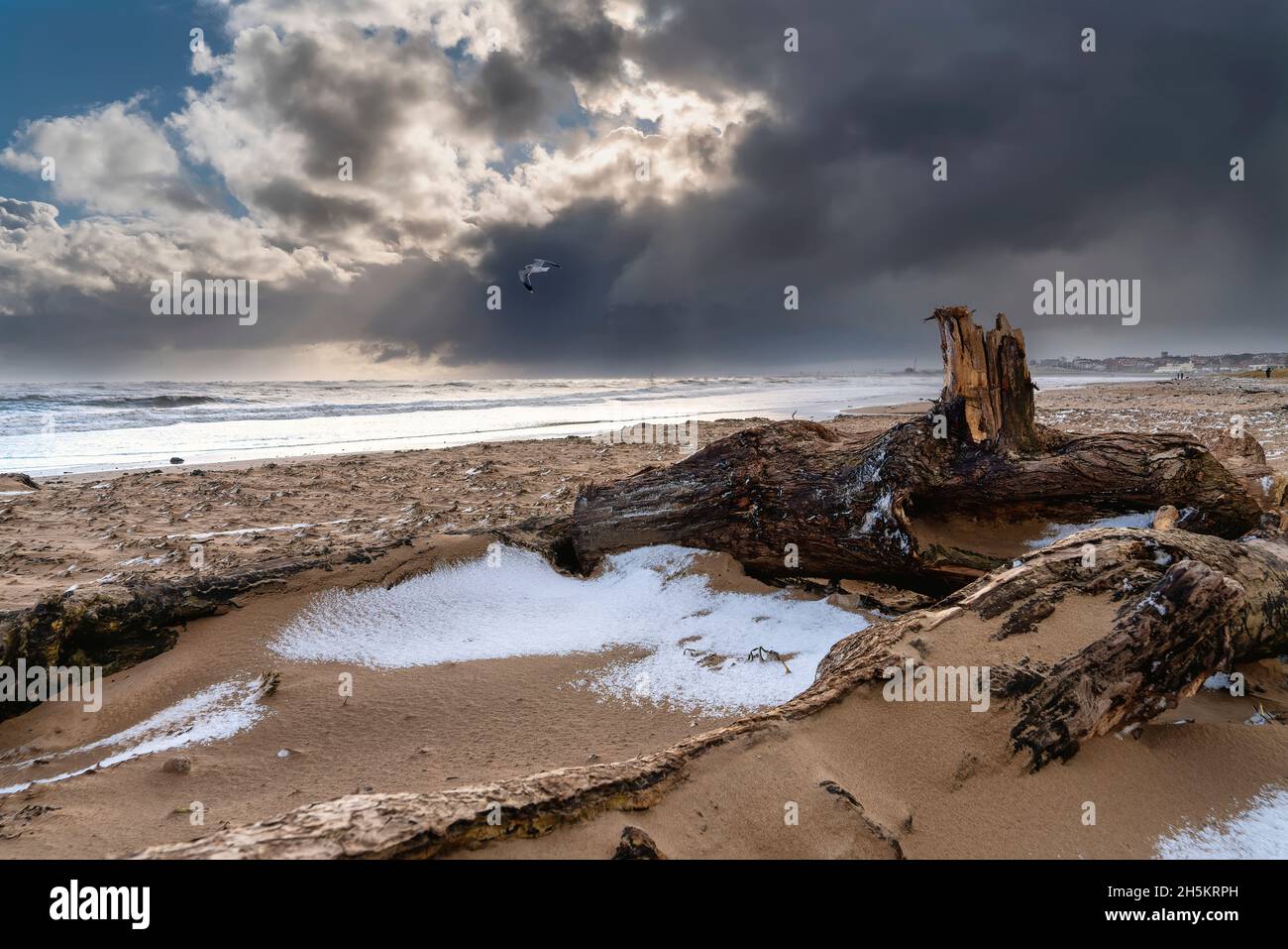 Nuvole tempesta che si formano sull'oceano con un gabbiano in volo sulla spiaggia con neve sulla sabbia a bassa marea; Whitburn, Tyne e Wear, Inghilterra Foto Stock