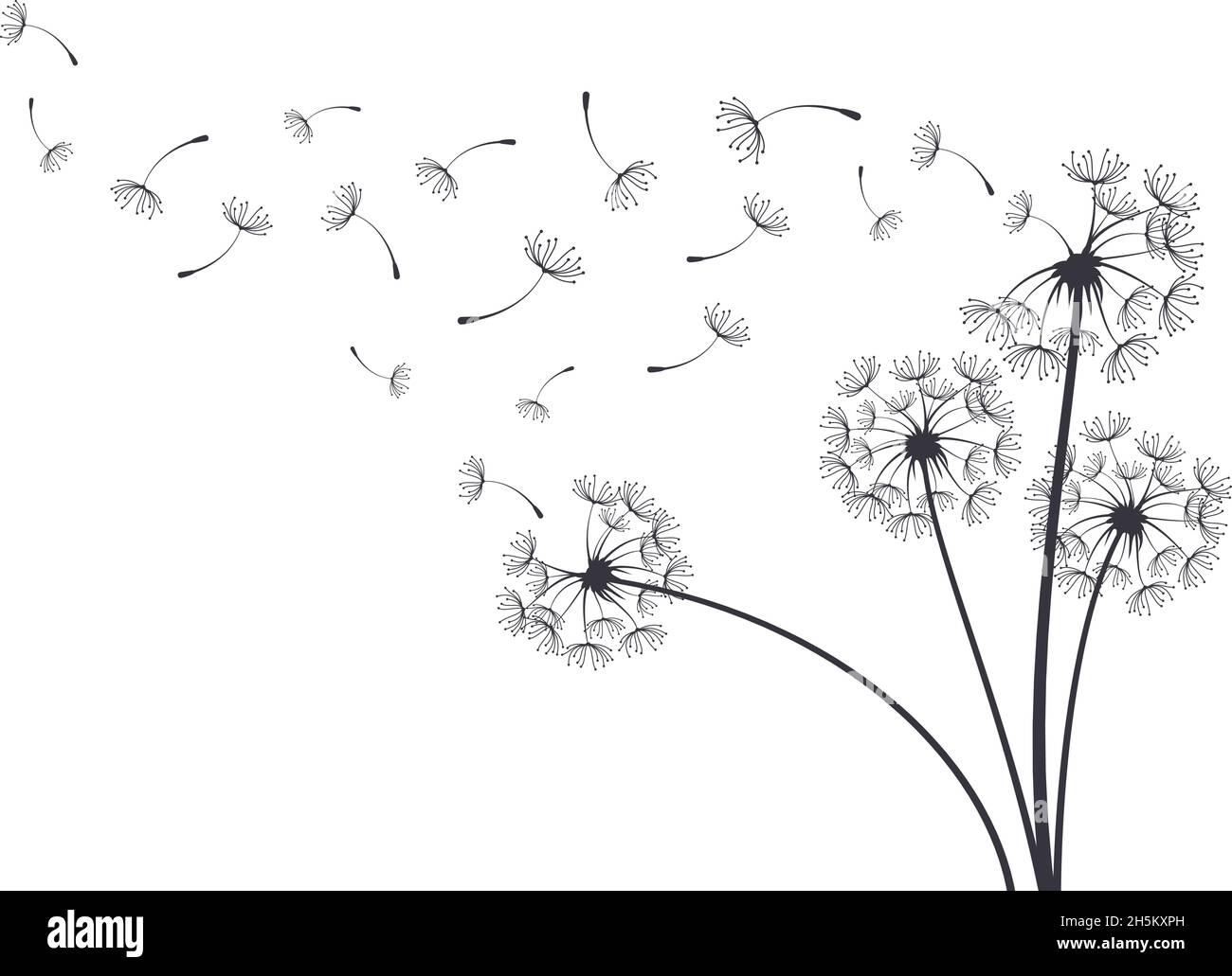 Dandelion Blowball pianta botanica semi volanti soffici. Dandelioni decorativi in fiore con disegno vettoriale di fondo dei semi volanti soffici. Mano Illustrazione Vettoriale