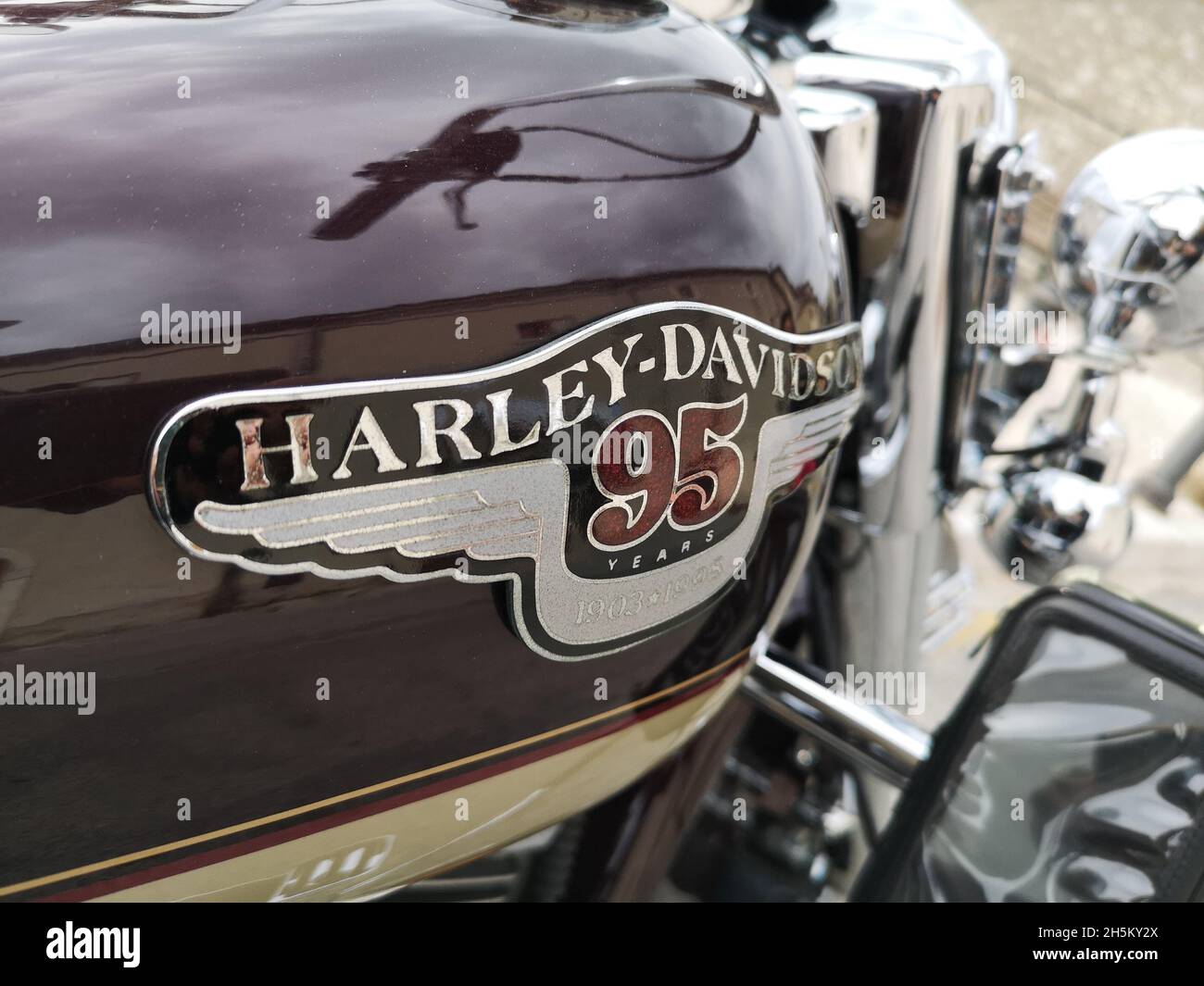 OPI, ITALIA - 02 ottobre 2021: Primo piano di un logo Harley-Davidson su una motocicletta Foto Stock