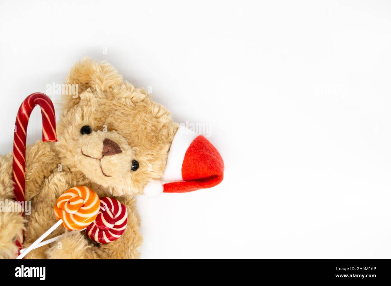 Un orsacchiotto peluche giocattolo in un cappello rosso di Babbo Natale su un orecchio, che tiene la canna da caramelle e due lecca lollipop a strisce nelle zampe. Sfondo bianco, spazio di copia. Foto Stock