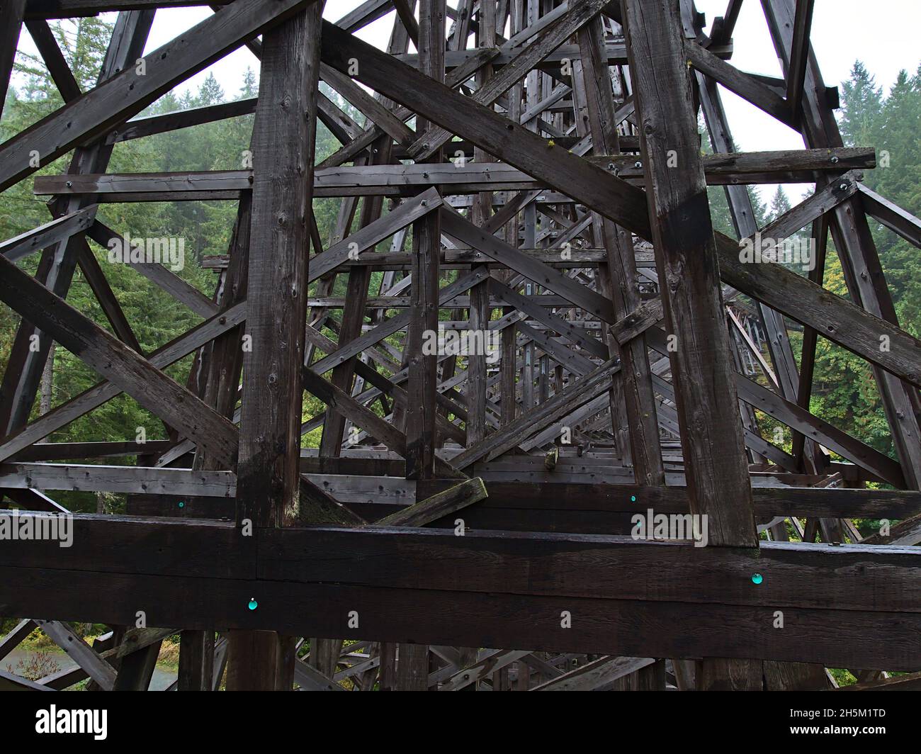 Primo piano di vista delle tavole di legno intemperie del ponte ferroviario Kinsol Trestle tra la foresta in giorno nuvoloso in autunno a Vancouver Island, BC, Canada. Foto Stock