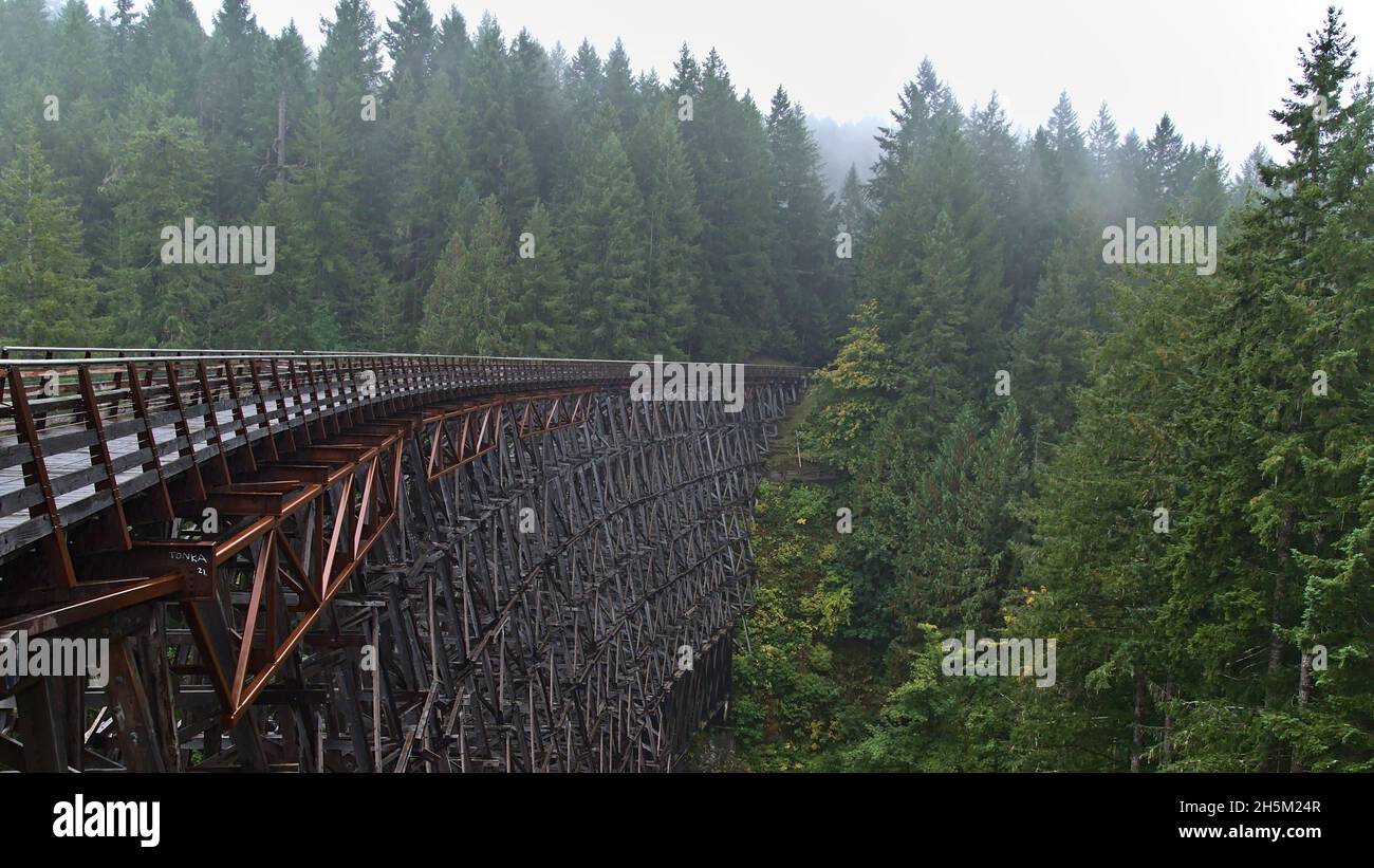 Vista mistica dello storico ponte ferroviario restaurato Kinsol Trestle sull'isola di Vancouver, British Columbia, Canada tra una fitta foresta con sentiero in legno. Foto Stock