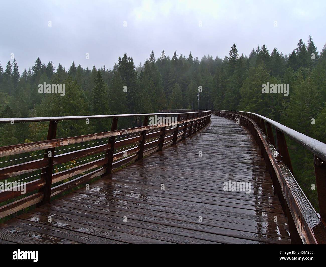 Vista della cima del ponte ferroviario storico restaurato Kinsol Trestle, parte del Trans-Canada Trail, sull'isola di Vancouver, British Columbia, Canada. Foto Stock