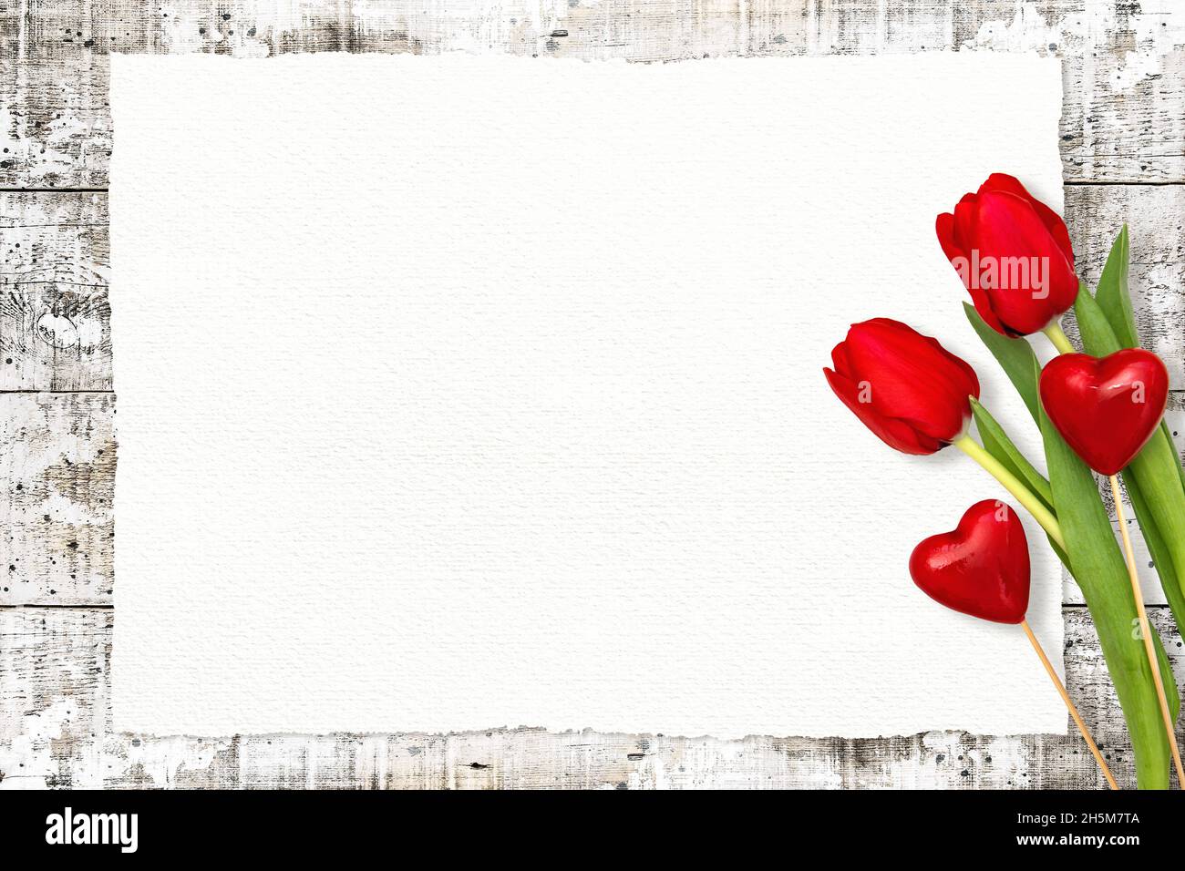 Mockup di carta bianca. Sfondo delle vacanze con fiori di tulipano rosso Foto Stock