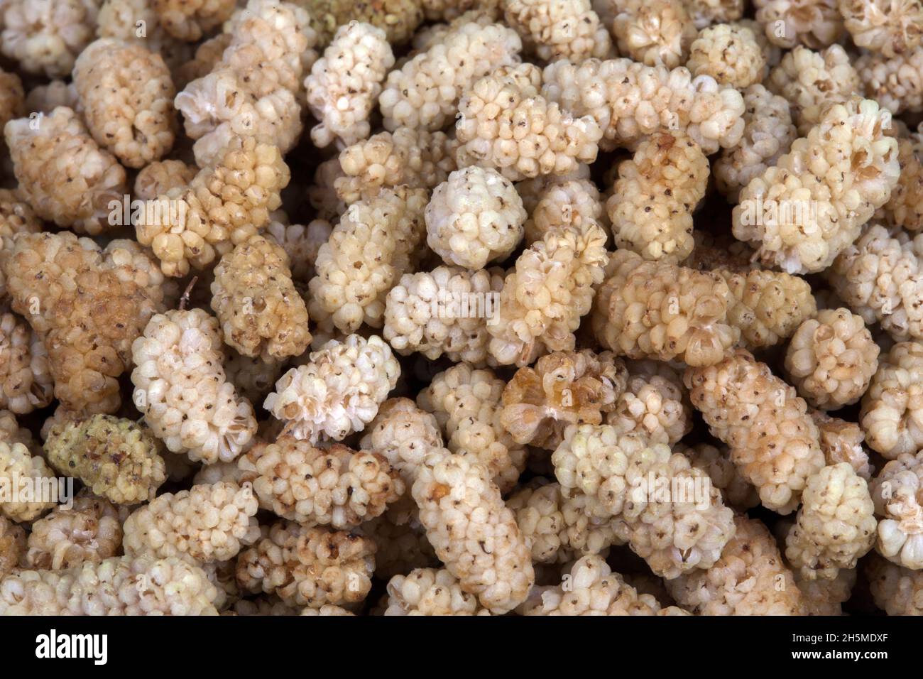 Fondo e consistenza di frutta di gelso secca, colpo superiore Foto Stock