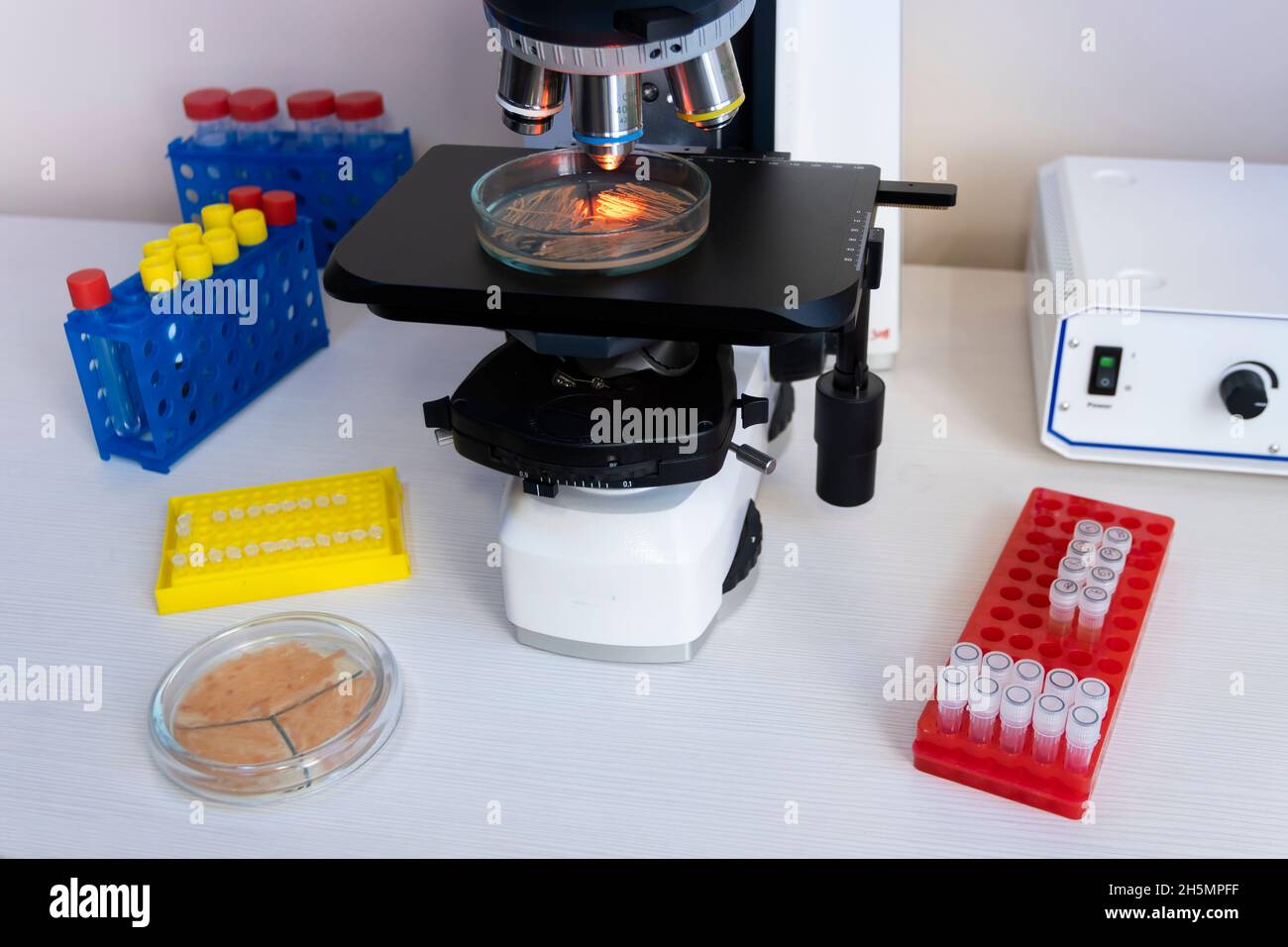 In laboratorio, i batteri vengono studiati al microscopio, un piano generale di un luogo di lavoro con un grande microscopio e rack con provette. Foto Stock