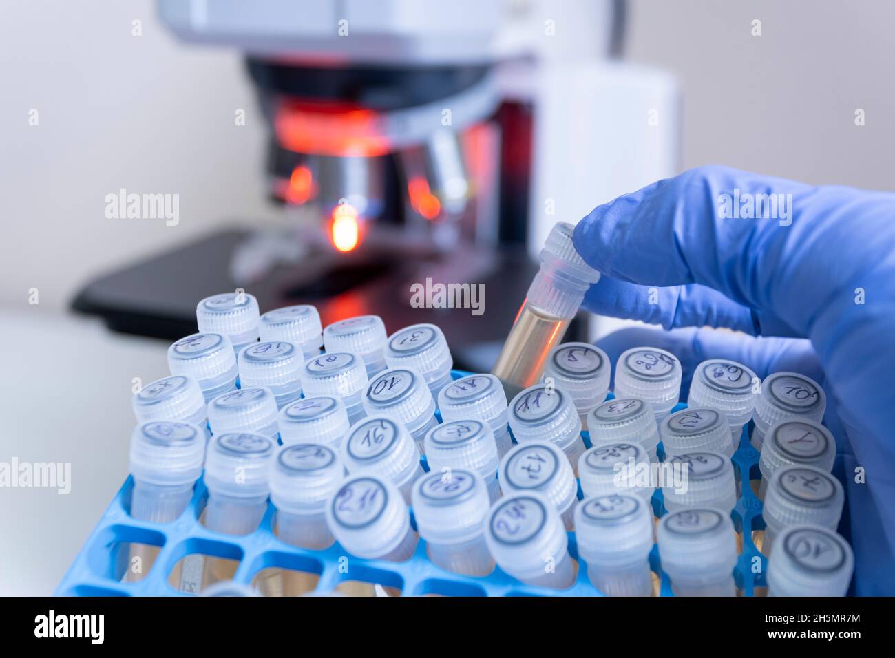 Uno scienziato estrae una provetta chiusa con un liquido giallo chiaro da un set di vaccini in una scatola da laboratorio sullo sfondo di un microscopio. Foto Stock
