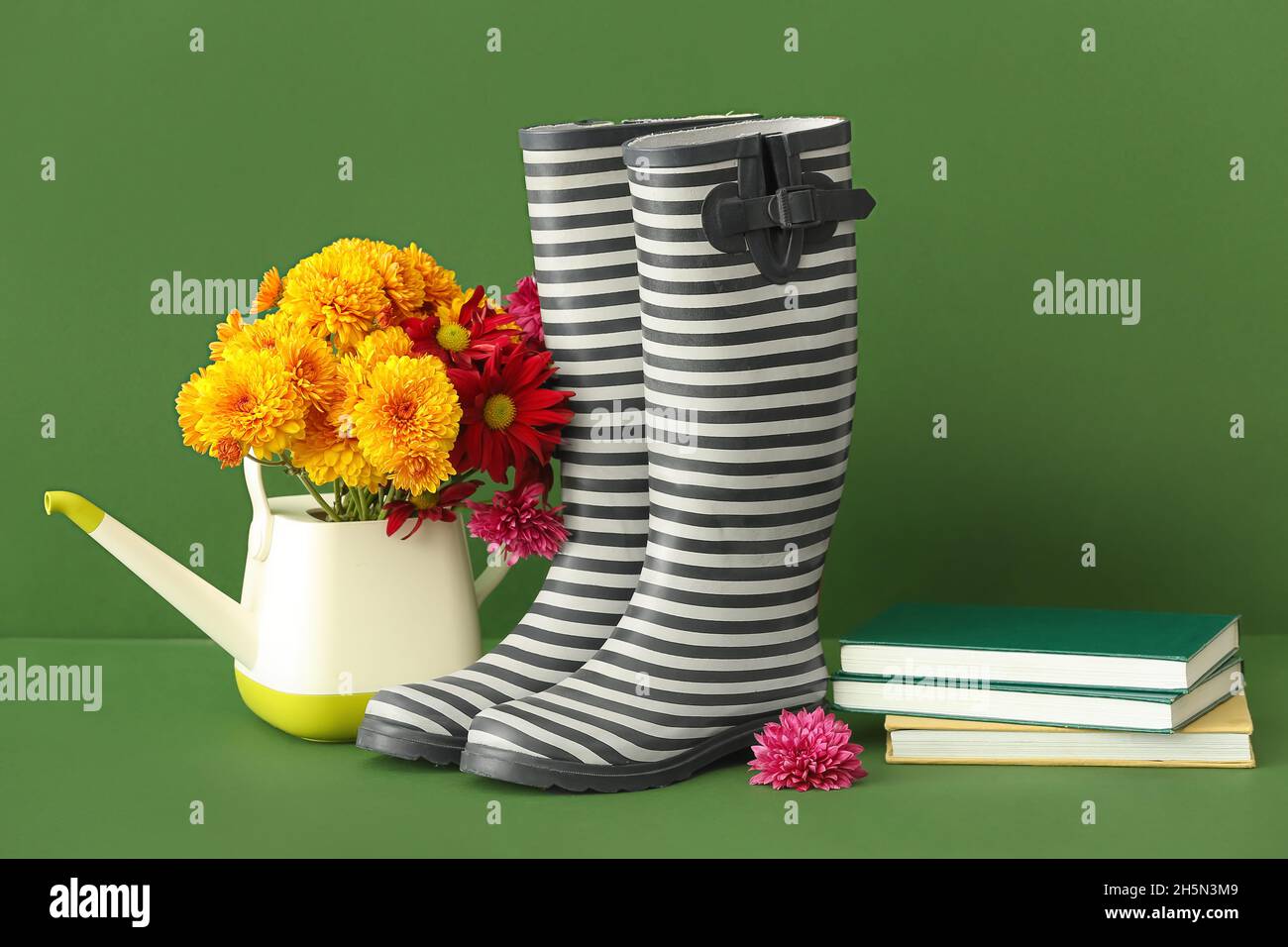 Composizione con stivali in gomma, fiori, annaffiatoio e libri su sfondo colorato Foto Stock